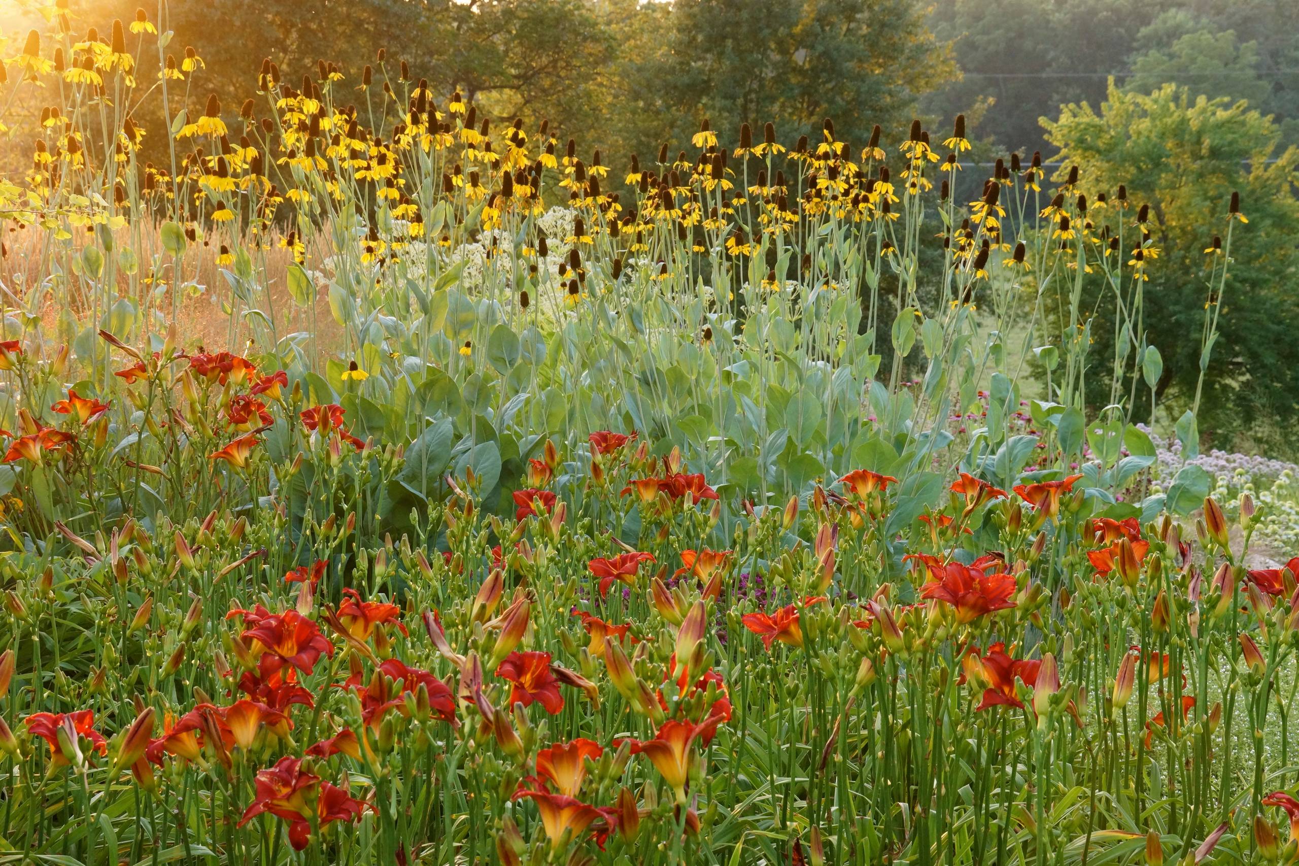 Хороший вопрос: Как создать жизнестойкий сад