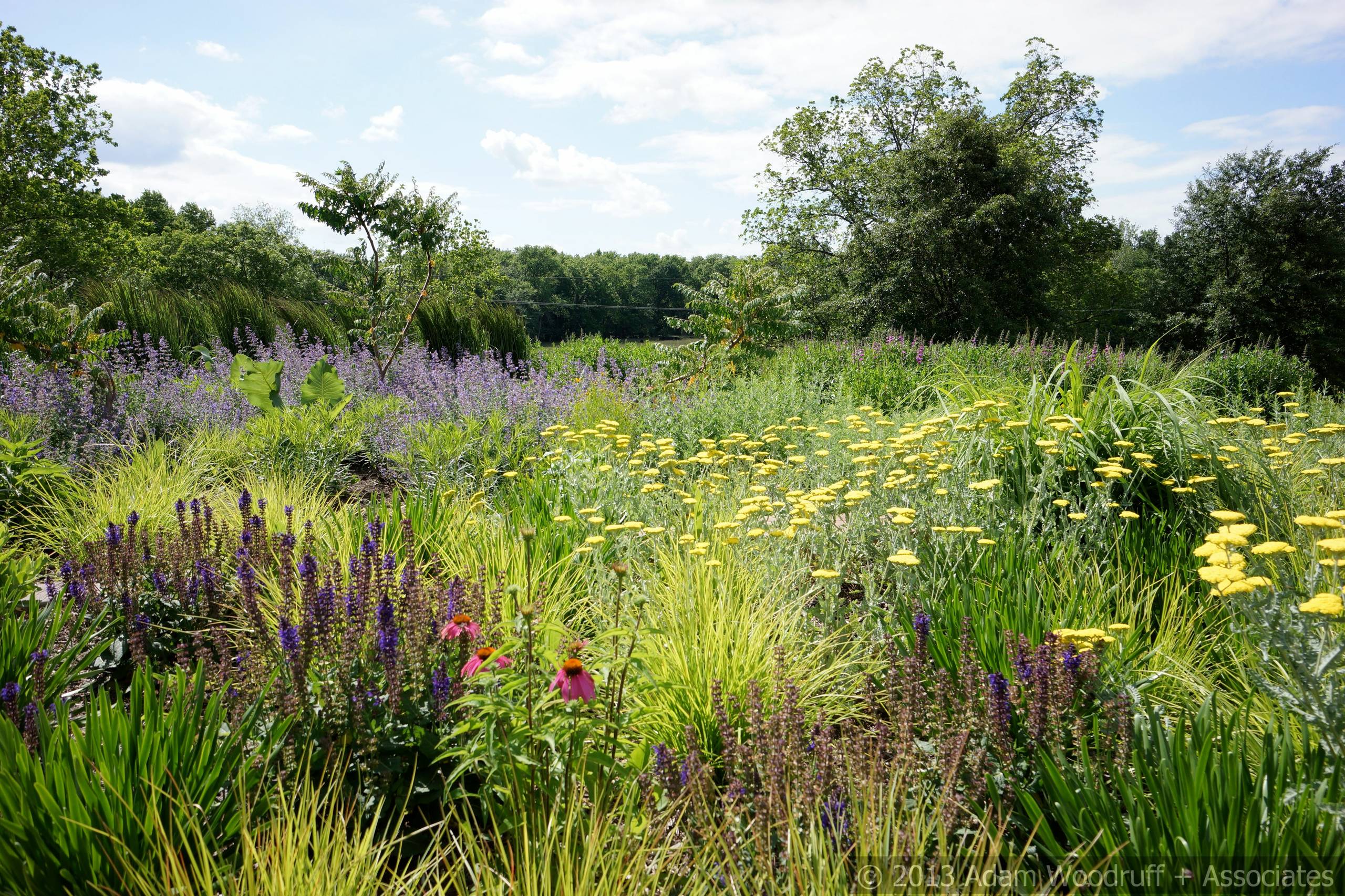 Хороший вопрос: Как создать жизнестойкий сад