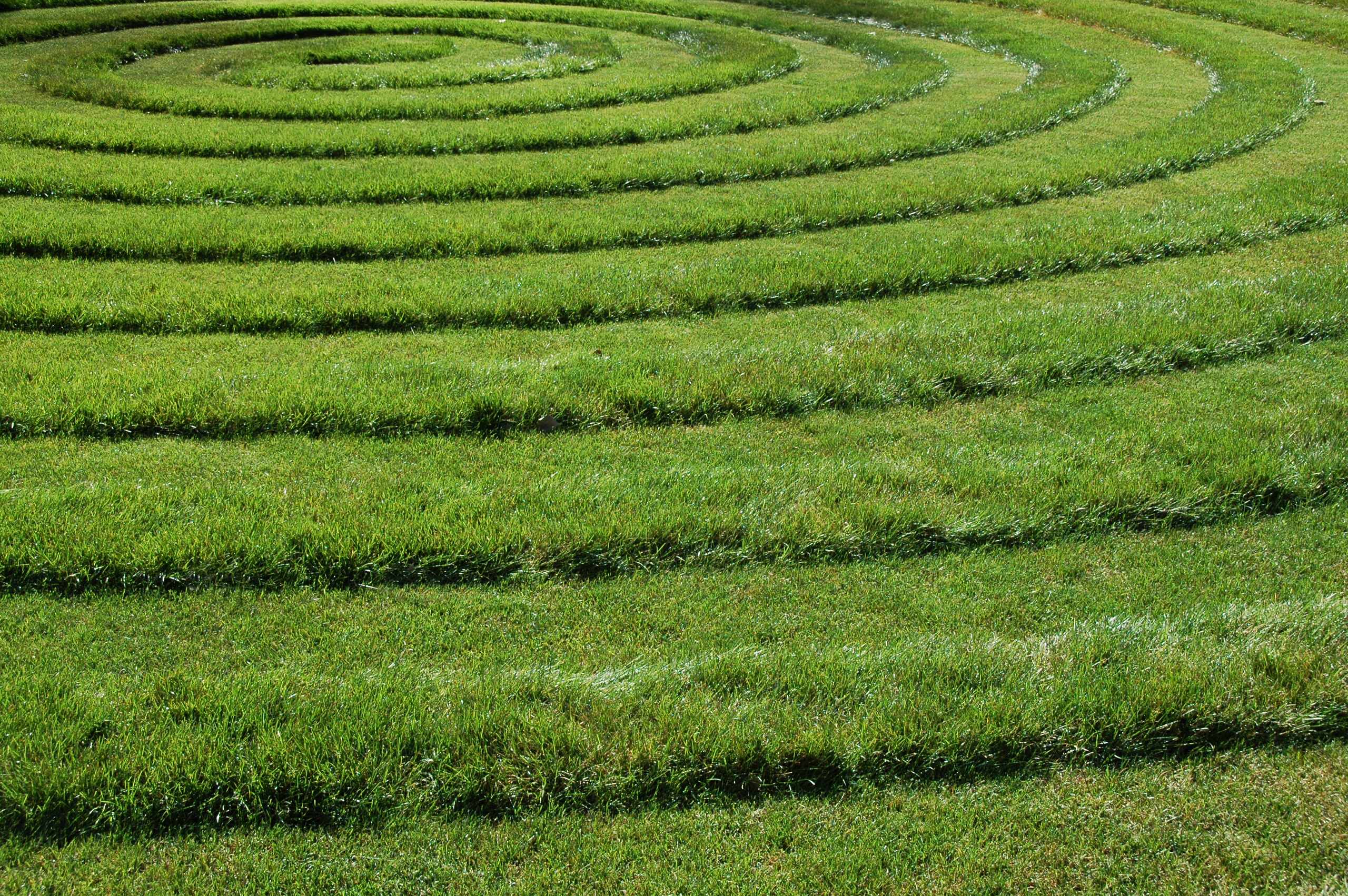 Игры на траве: Что нужно знать про оформление газонов