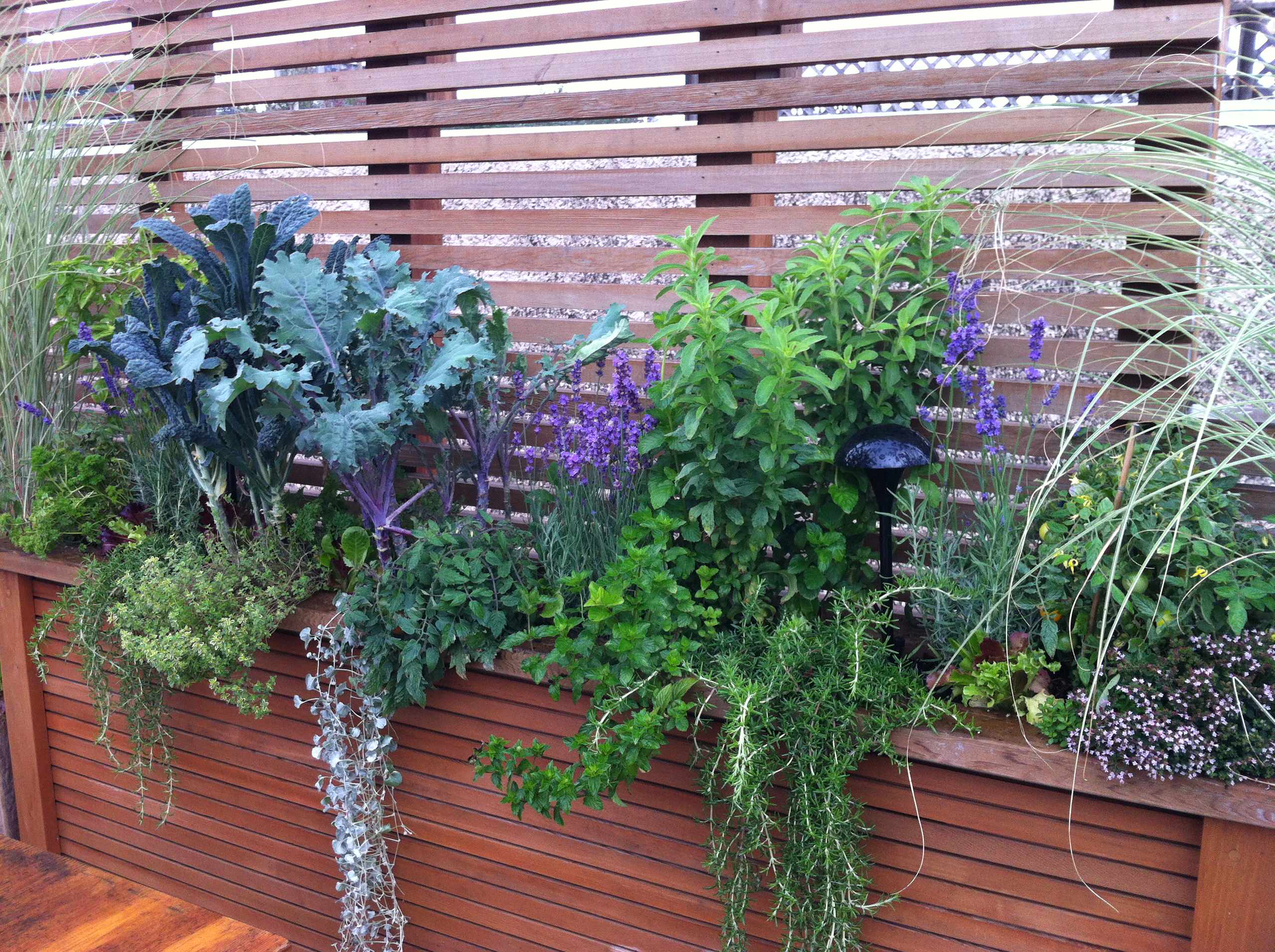 Вопрос: Можно ли вырастить полноценный сад в кадках