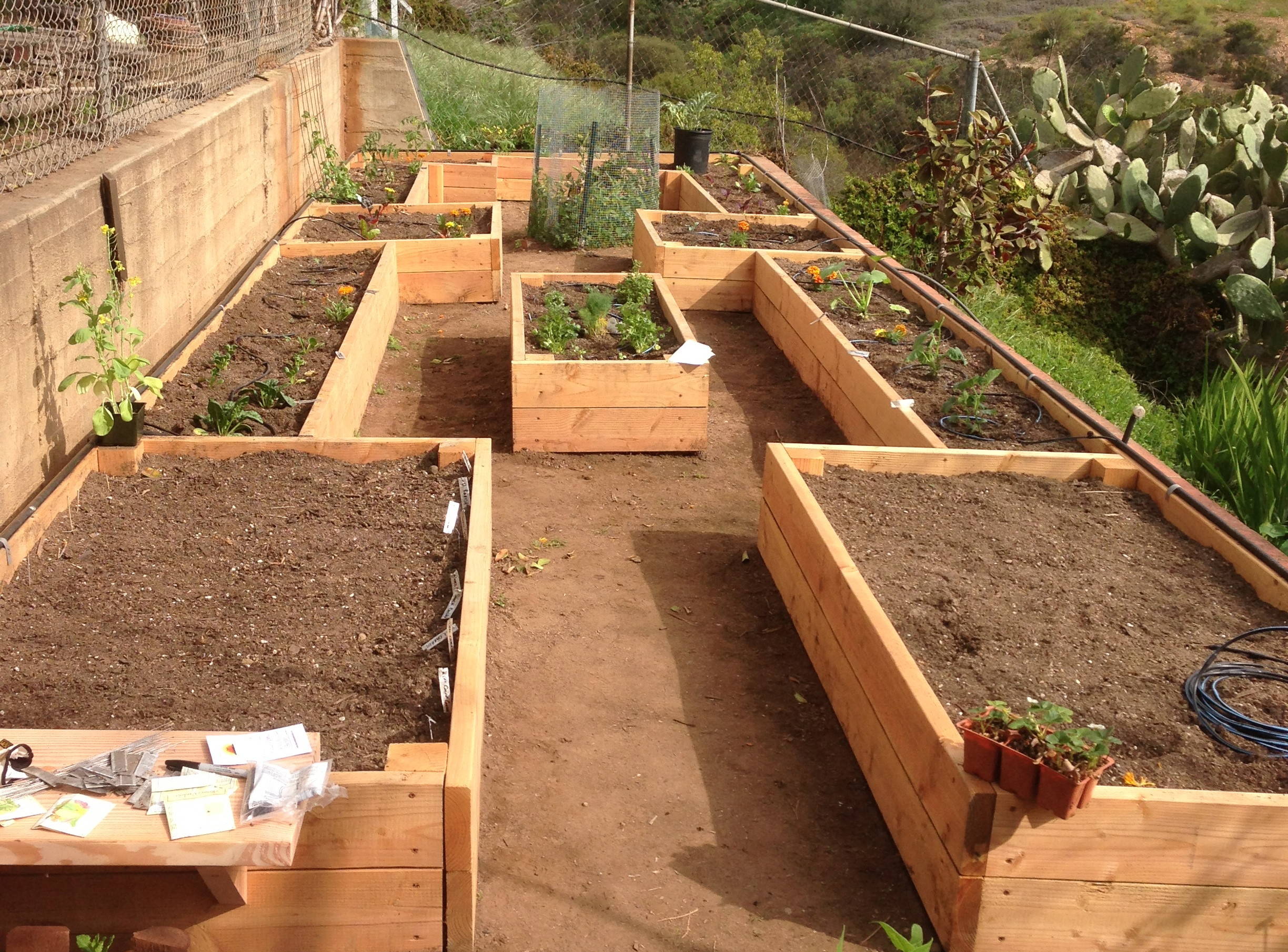 Без огня: Забудьте о кострах на садовых участках