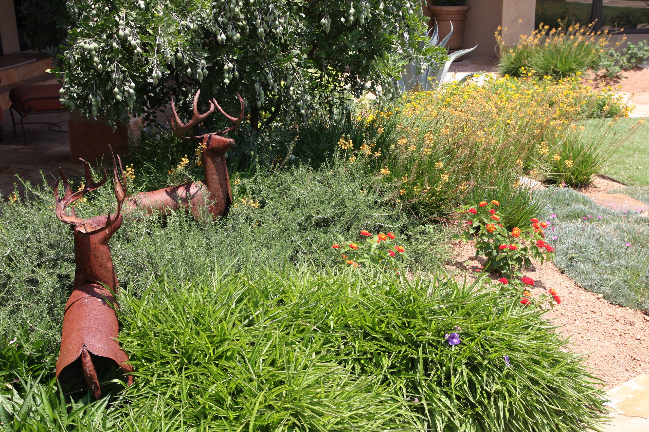 Как стоит городить огород: 4 подхода к выращиванию овощей