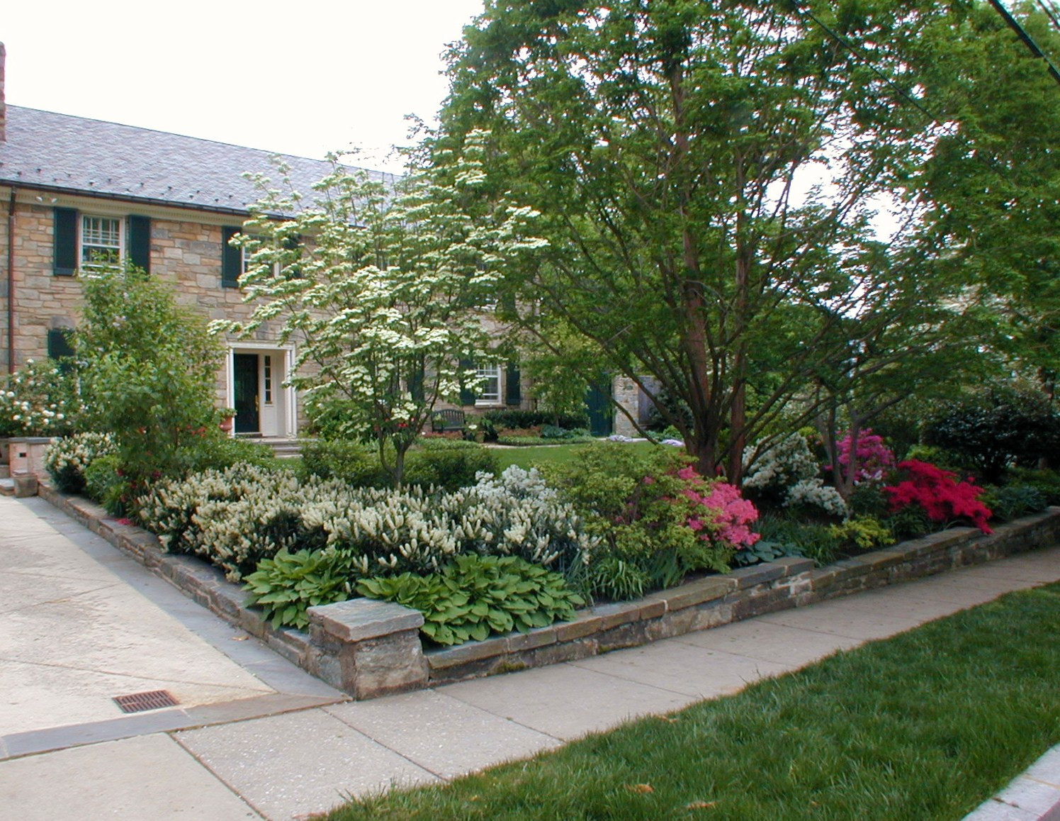 Осенний сад: Критерии выбора посадочного материала