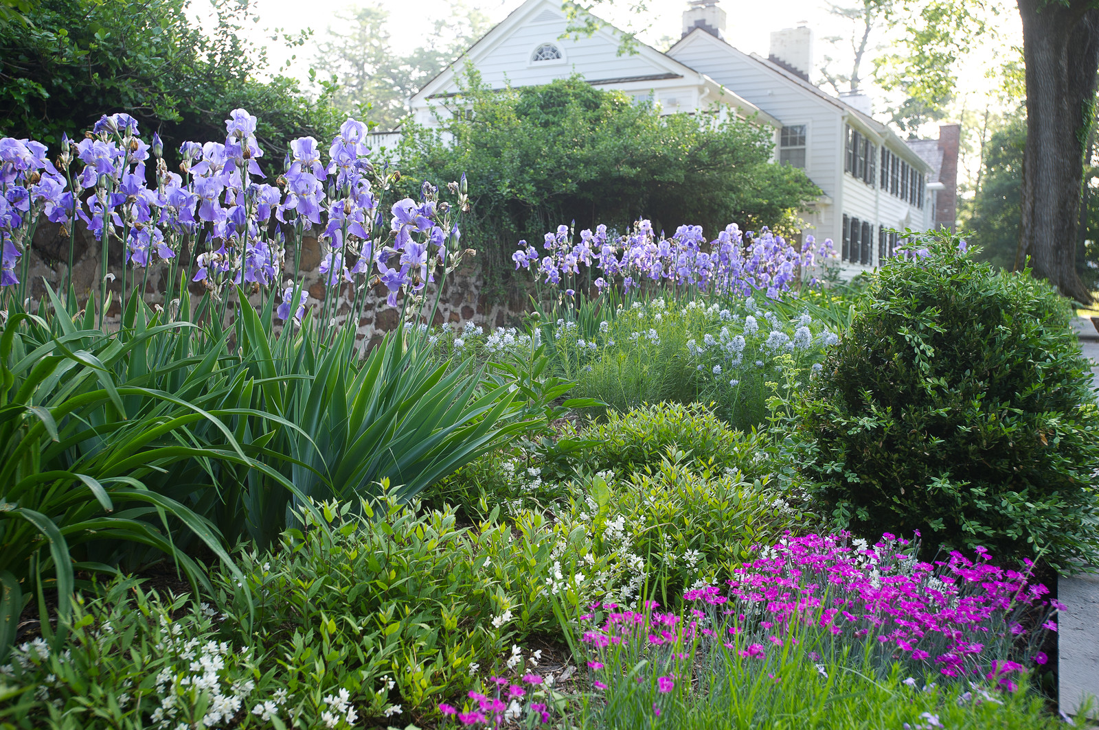 Всесезонный сад: Основные правила создания