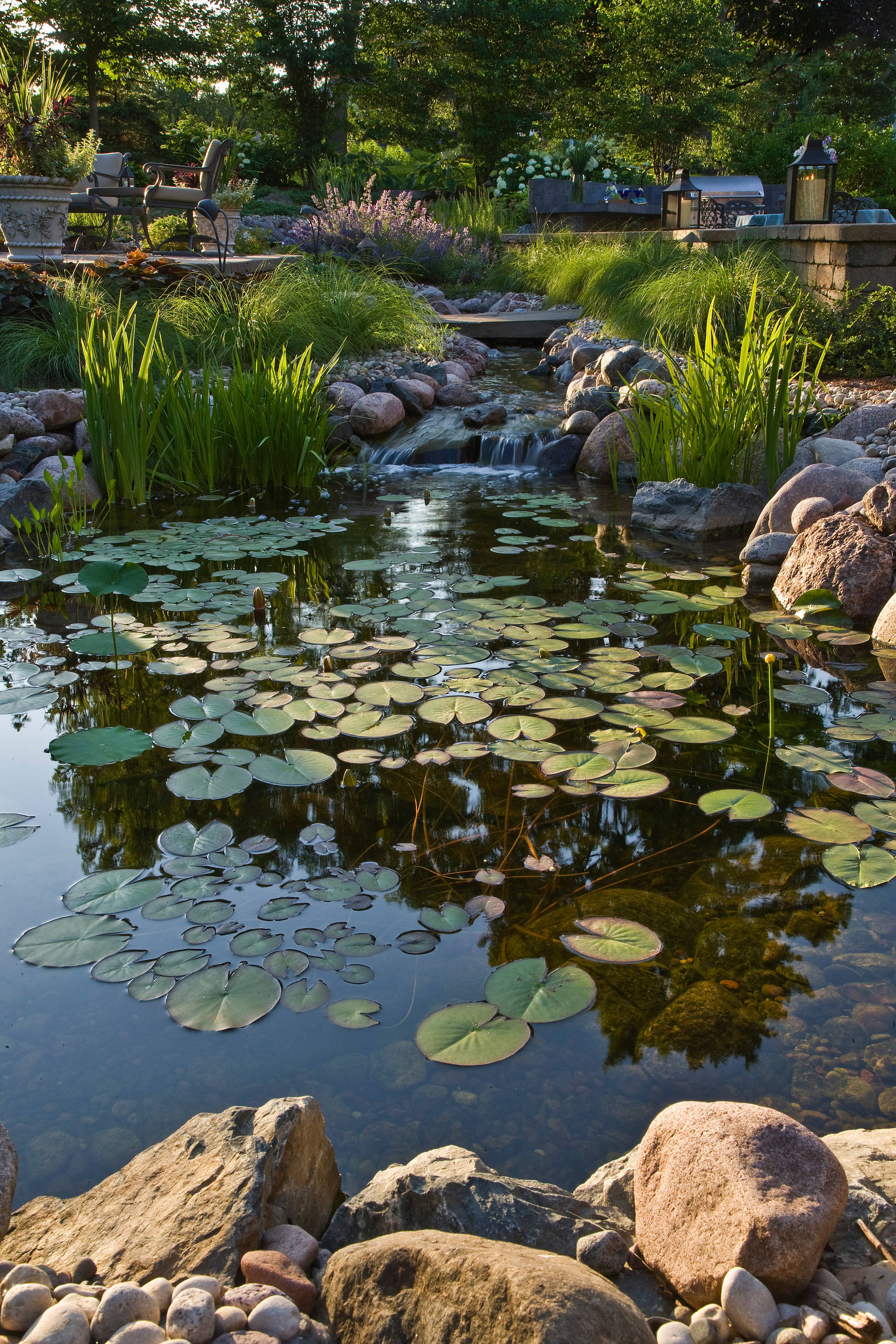 Концы в воду: Декоративные растения для оформления пруда