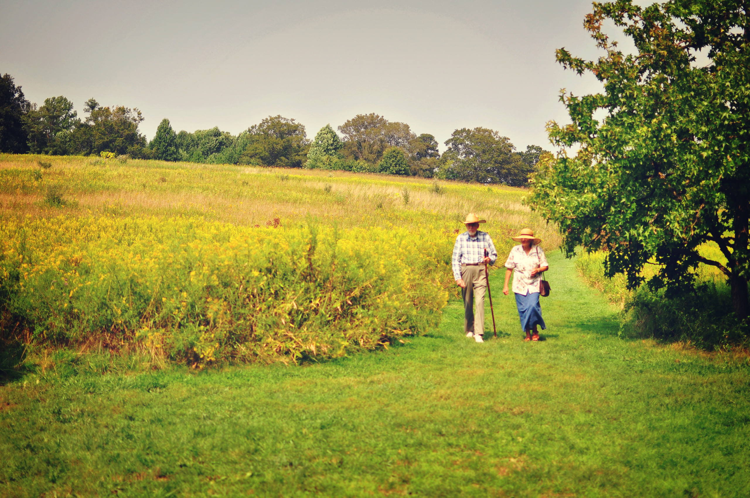 Вопрос: Что делать, если ребенок не хочет на дачу
