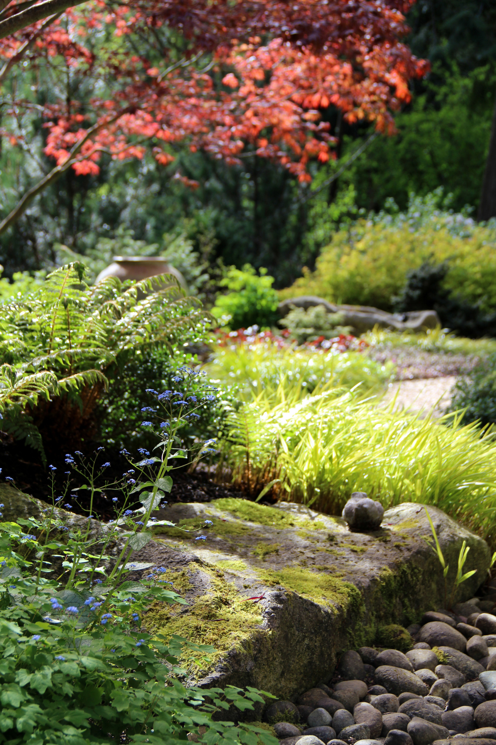 Влага во благо: Что делать с сырым заболоченным участком
