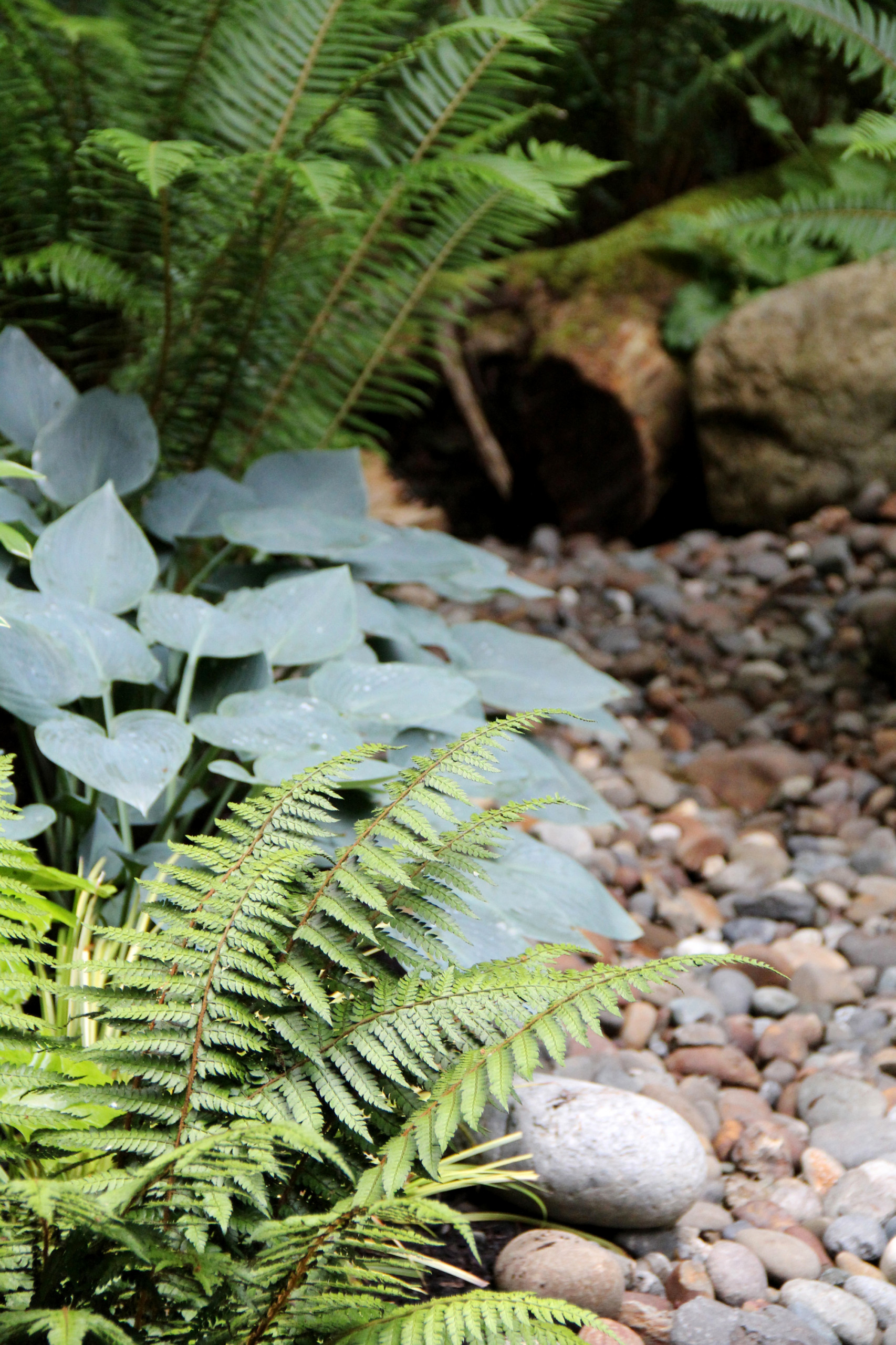 Практикум: Как создать сухой ручей на даче или в саду