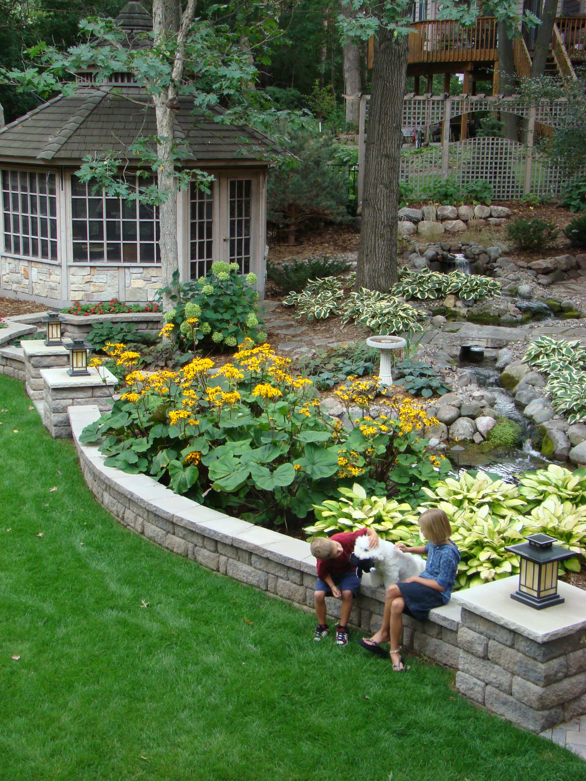 22 красиво цветущих растения для сырых и влажных мест в вашем саду