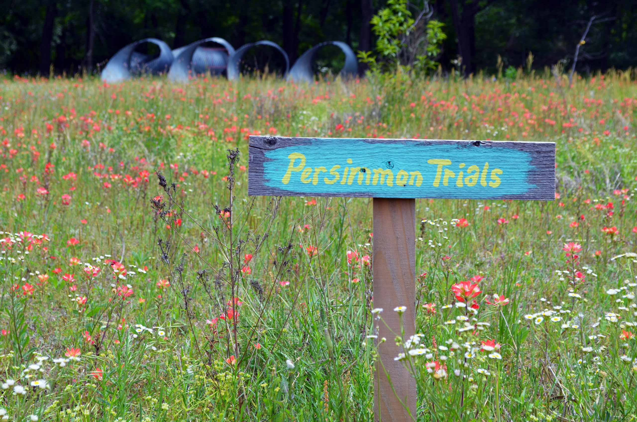 Houzz в саду: А вы готовы дать имя своему дому?