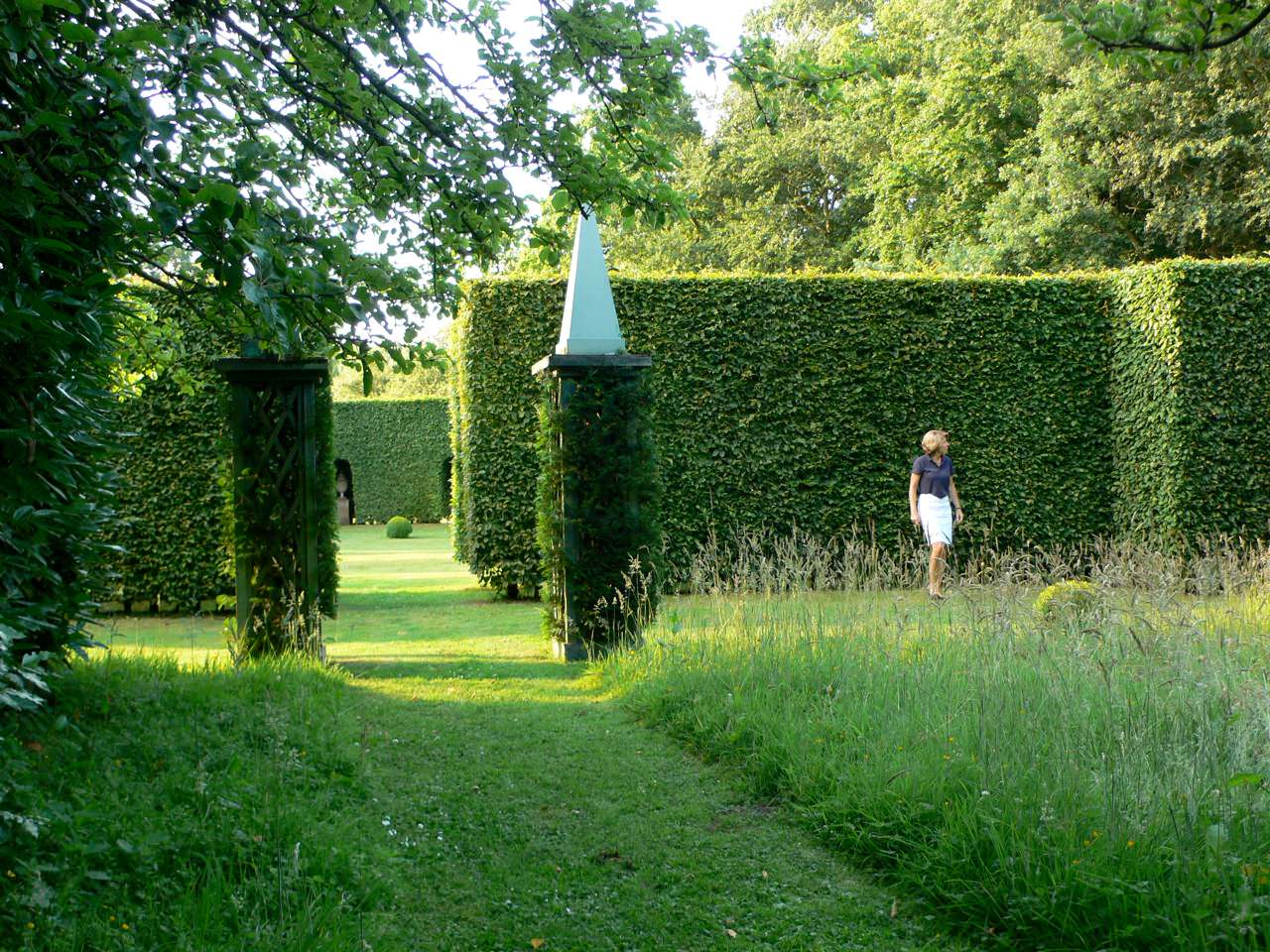 Вопрос: Как выбирать растения для сада