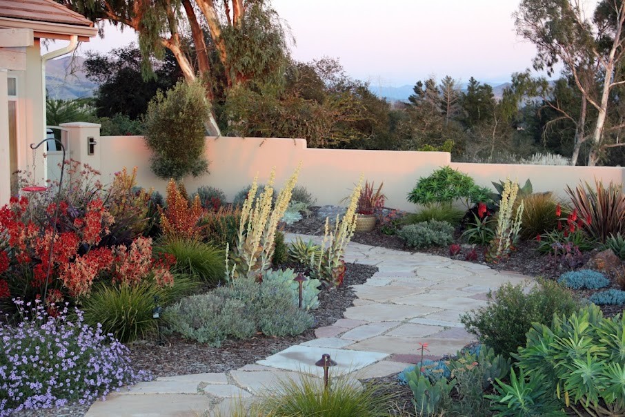 Сад для ленивых: Многолетники, легкие в уходе