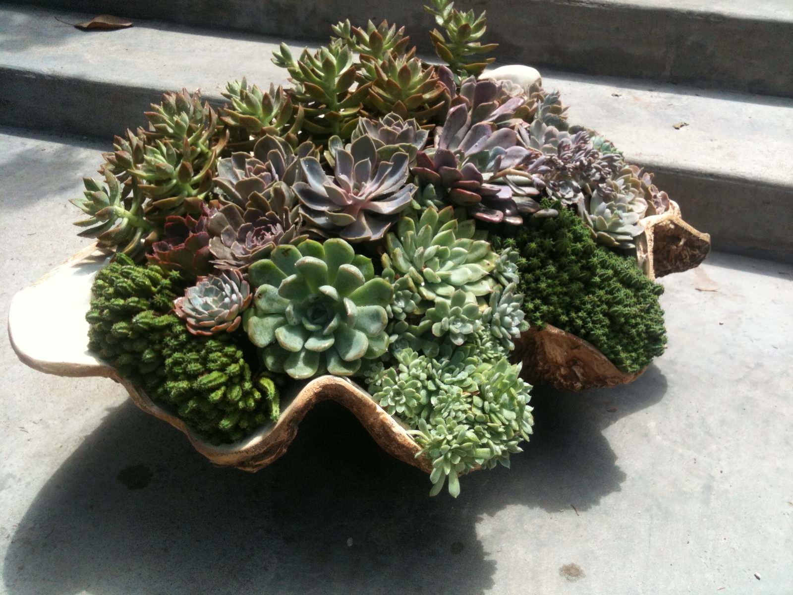 Что под руку попалось: Как не загубить растения в арт-кашпо