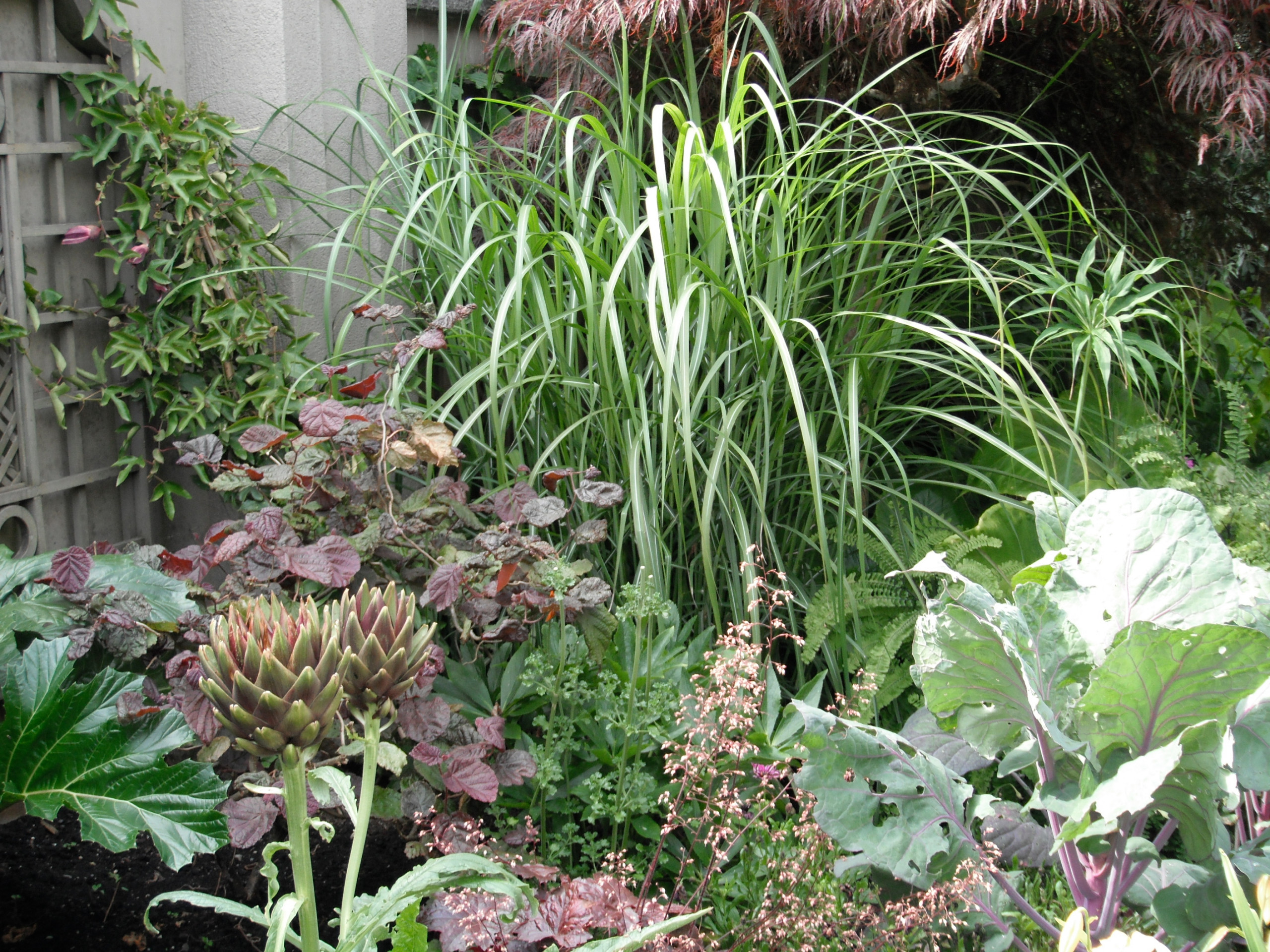 Мал, да удал: Выбираем растения для маленького сада