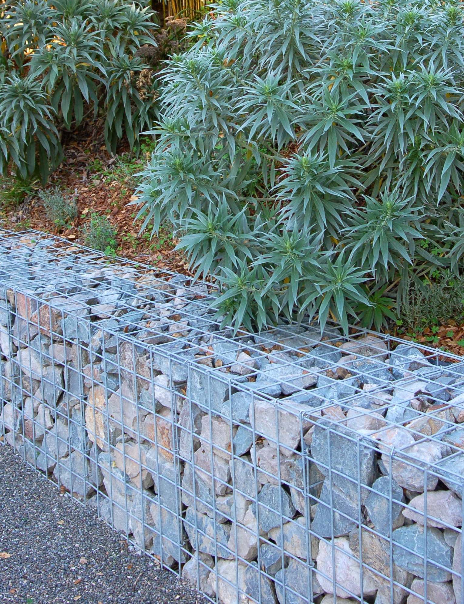 5 дизайн-решений для сада, от которых чаще всего отказываются