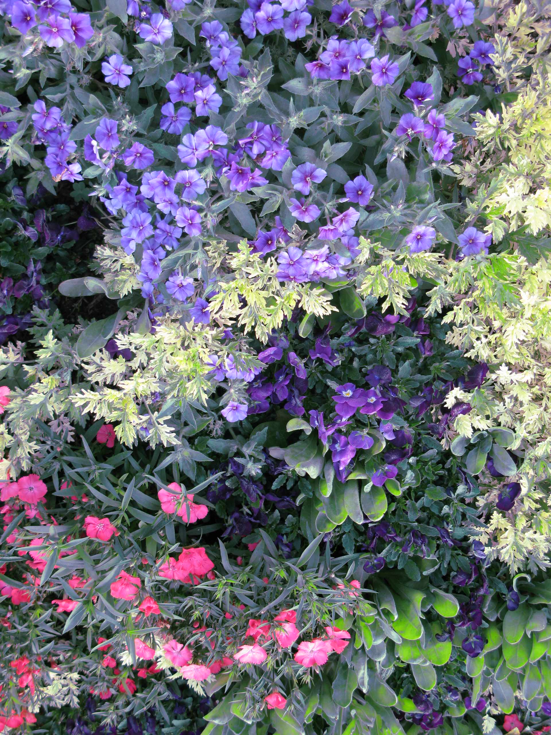 Дизайн клумбы: Шаг за шагом