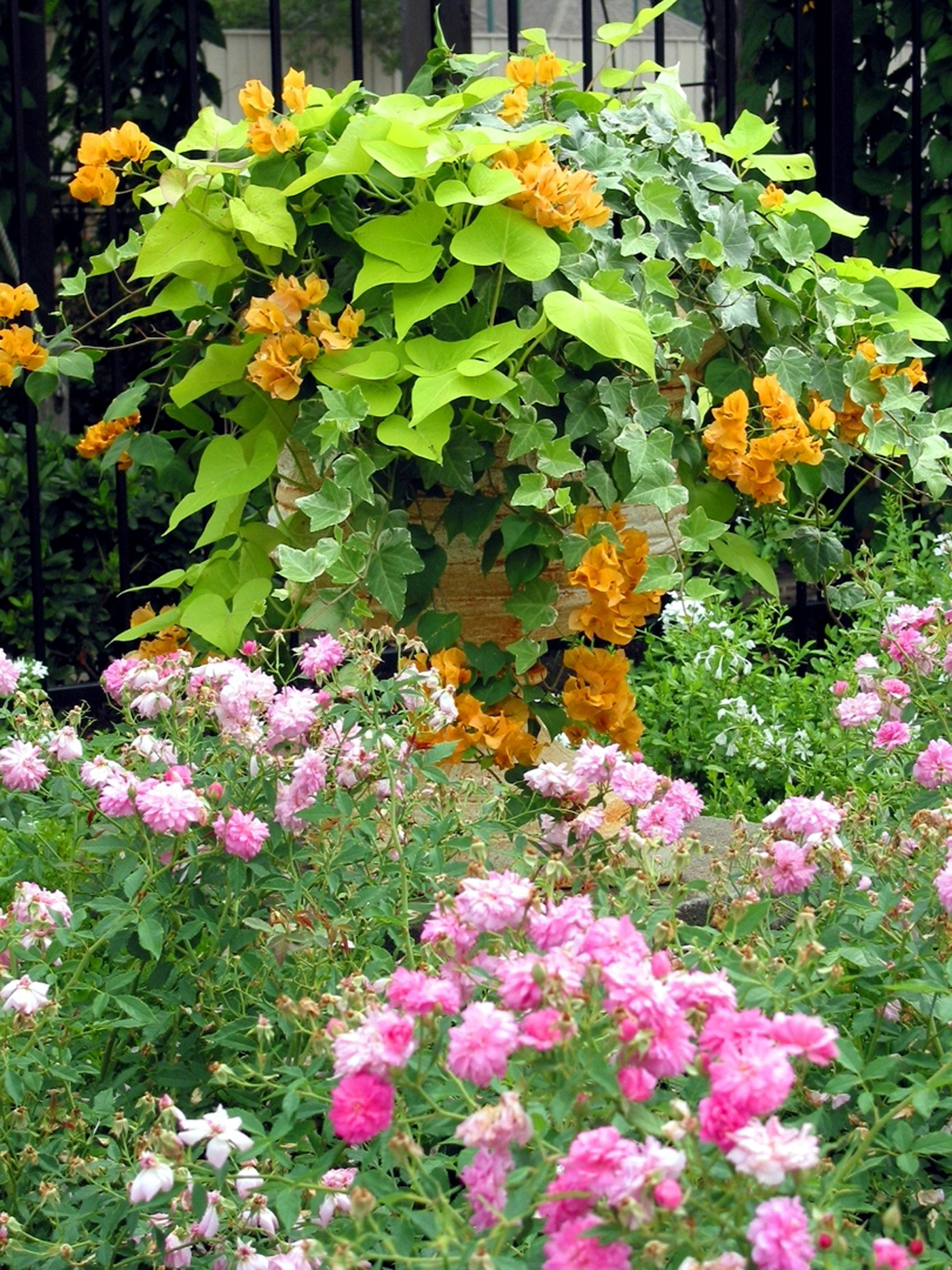 Горшку — место: 14 идей, куда можно поставить растения в кашпо