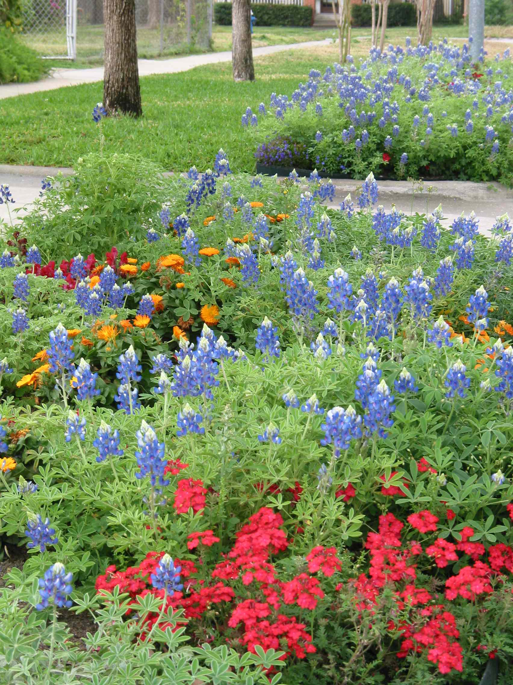 Работа над ошибками: Что пошло не так на клумбе