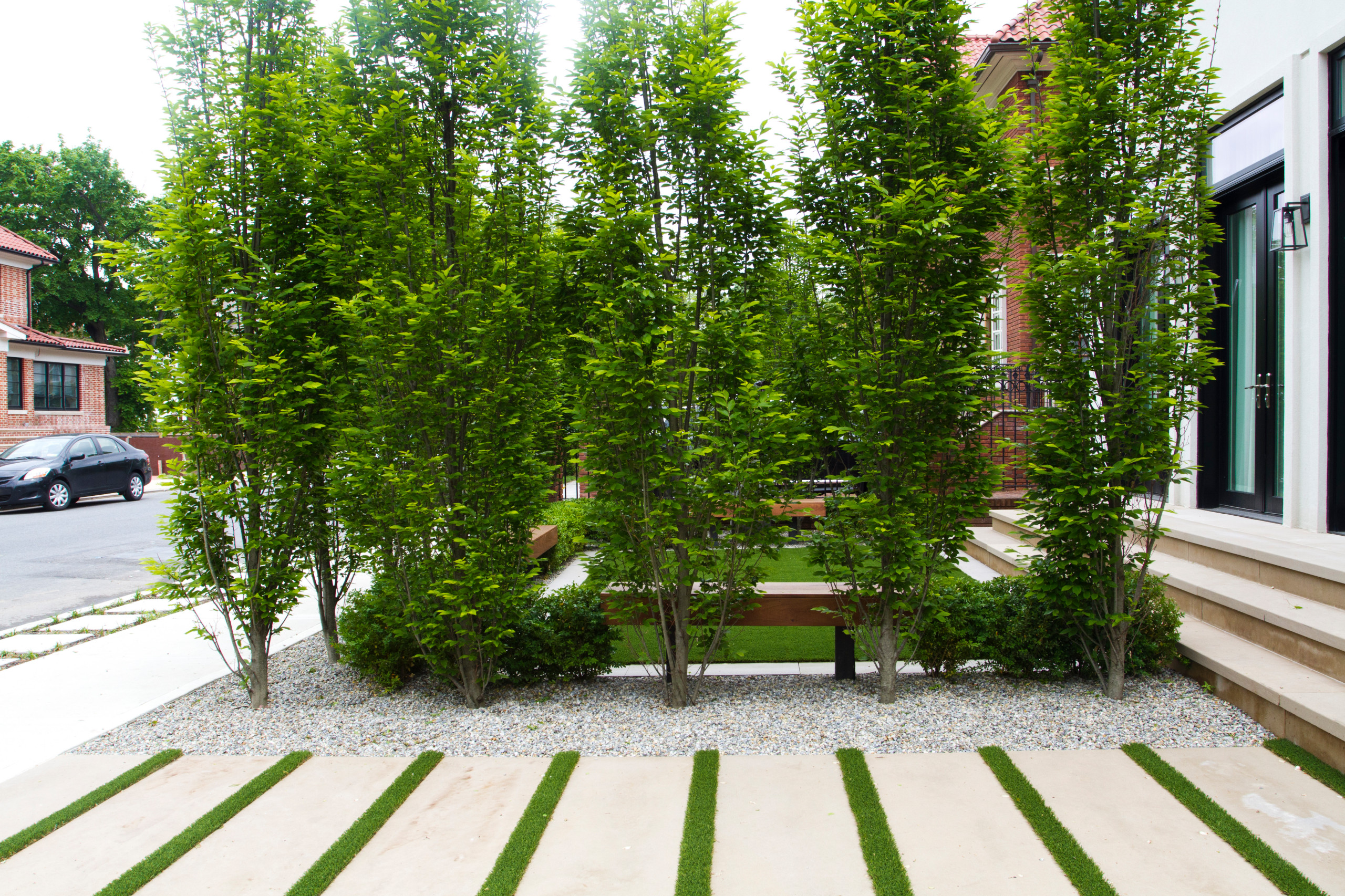 Работа над ошибками: Что пошло не так с деревьями