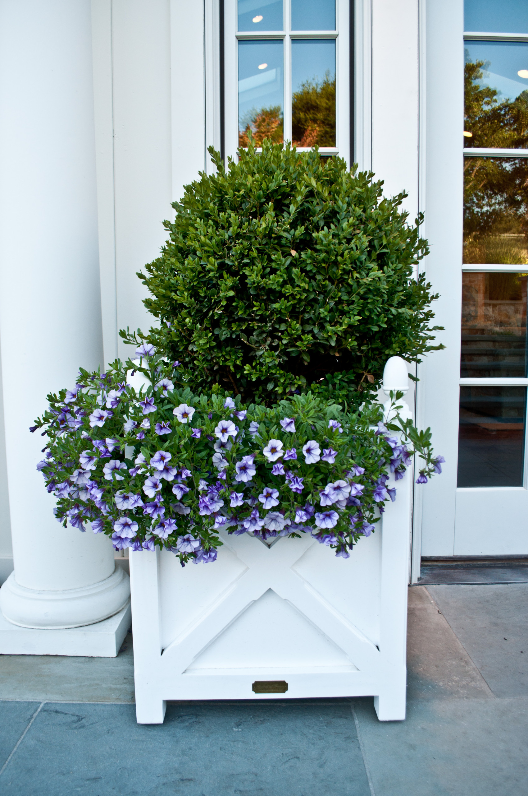 12 весенних композиций для сада в контейнере