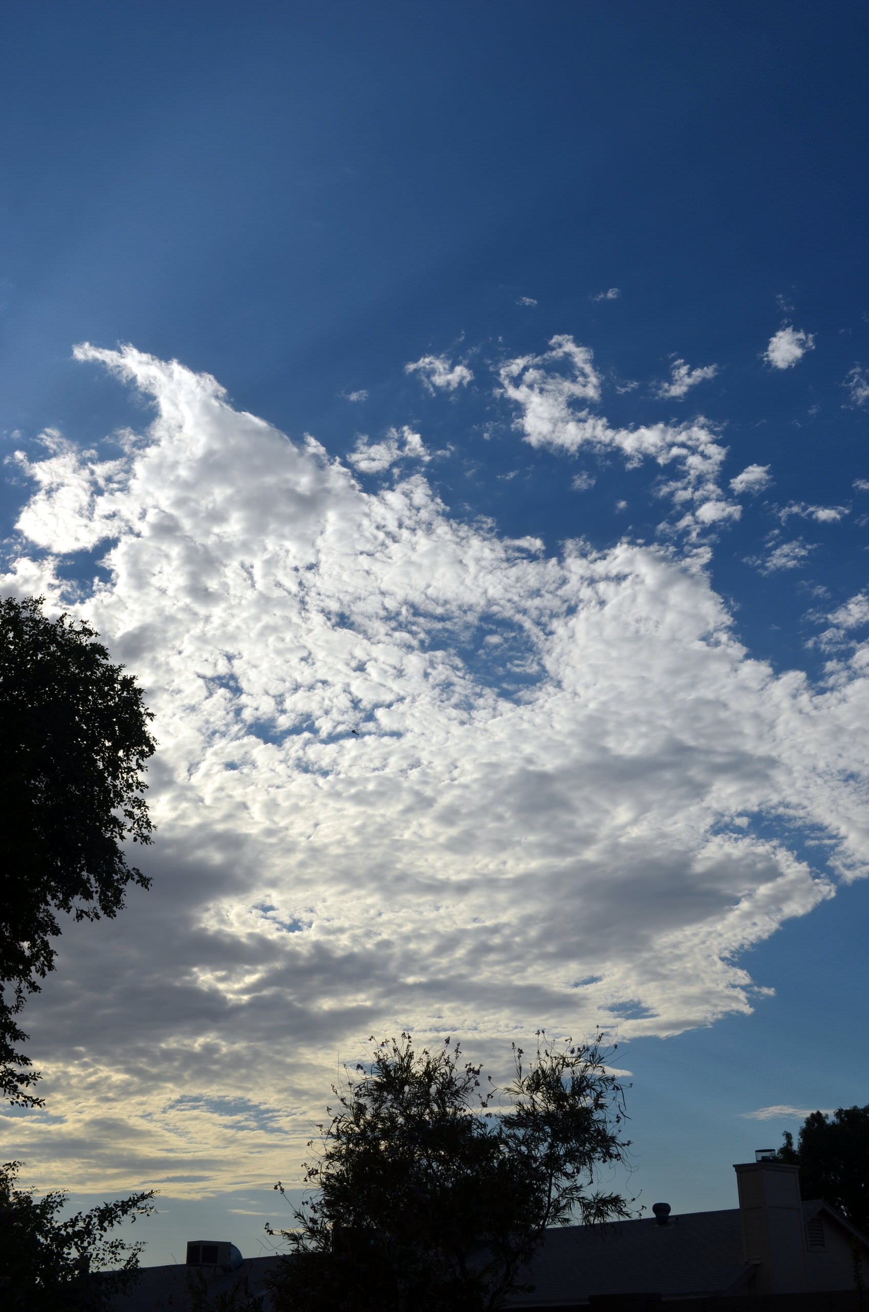 Дневник садовода: Зачем его вести и как