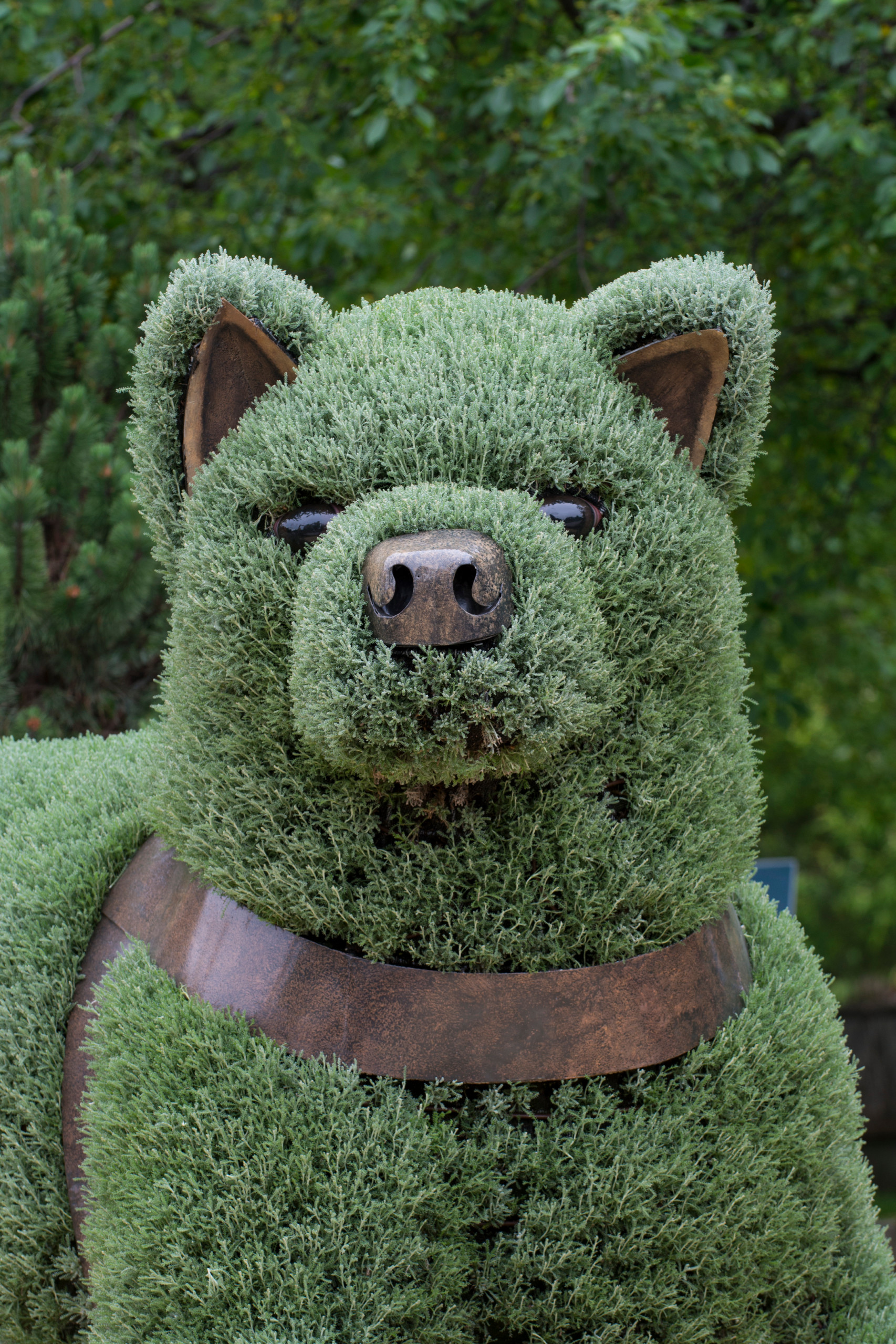 Топиарии: Нестандартные зеленые скульптуры в саду