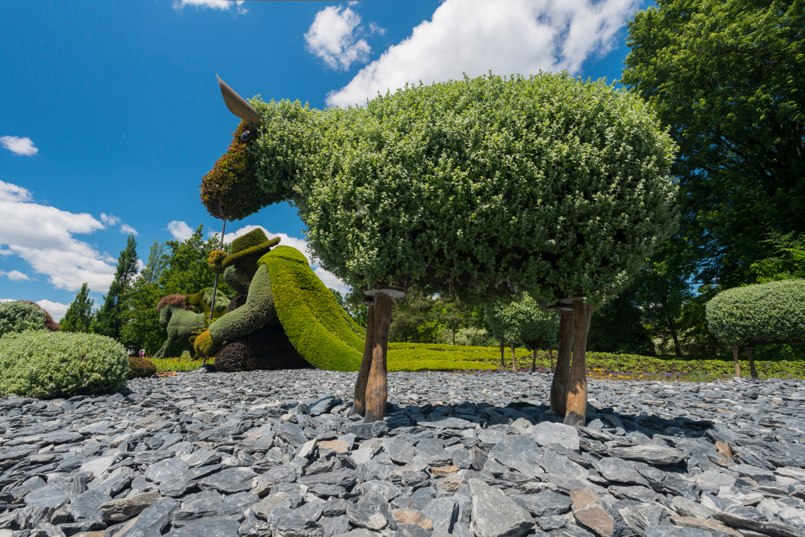 Топиарии: Нестандартные зеленые скульптуры в саду