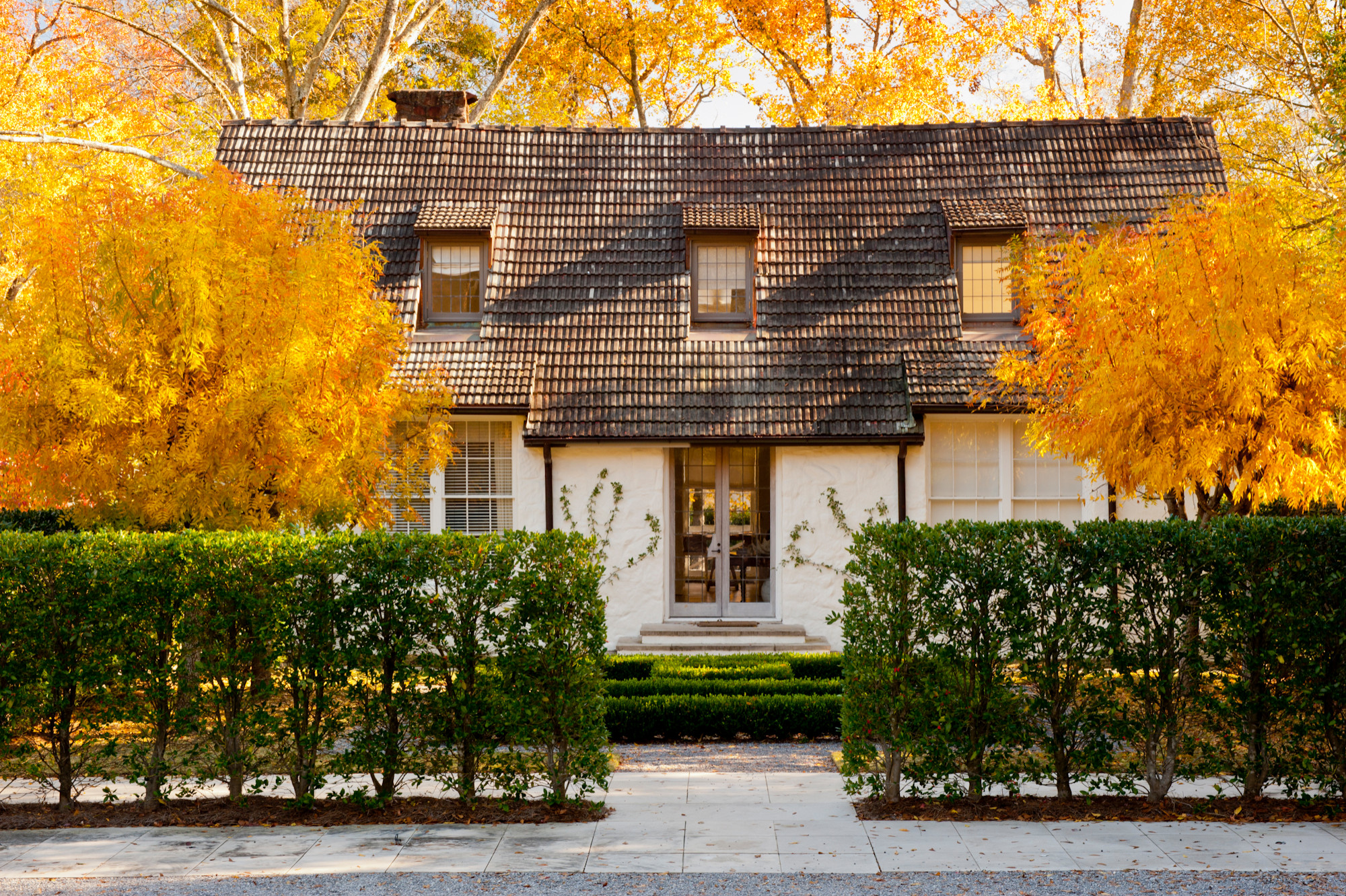 Дизайн узкого участка: Что учесть при планировке сада и дачи