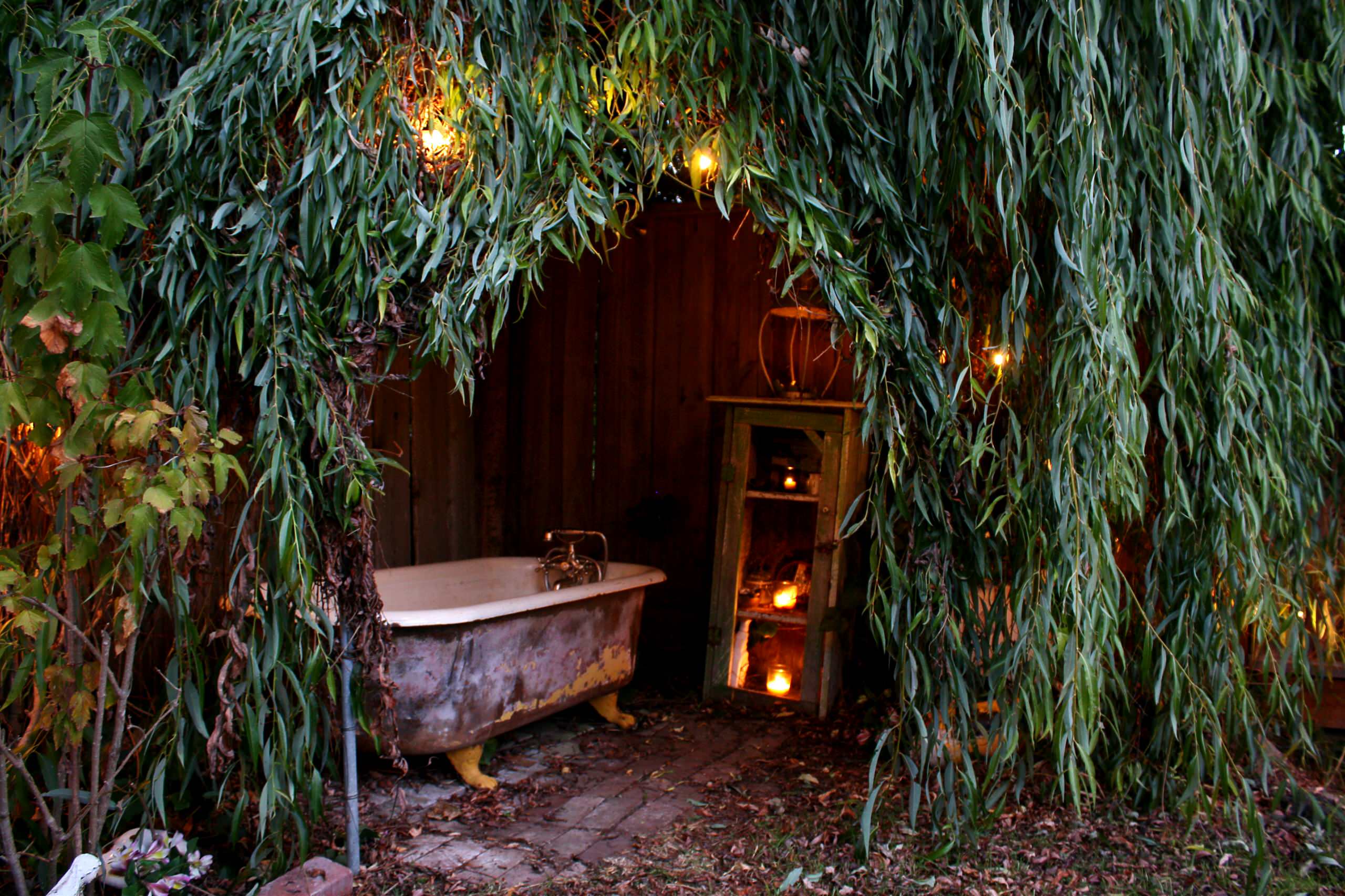 Живая беседка: Из чего ее вырастить в среднерусской полосе