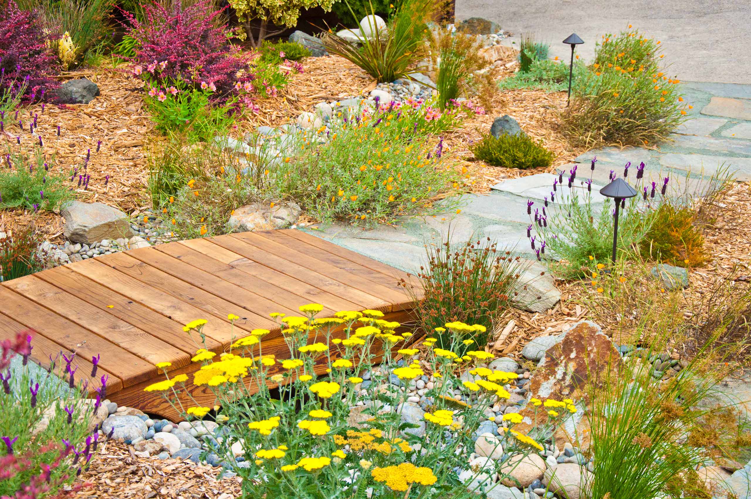 Тропинки в саду: Как их планировать