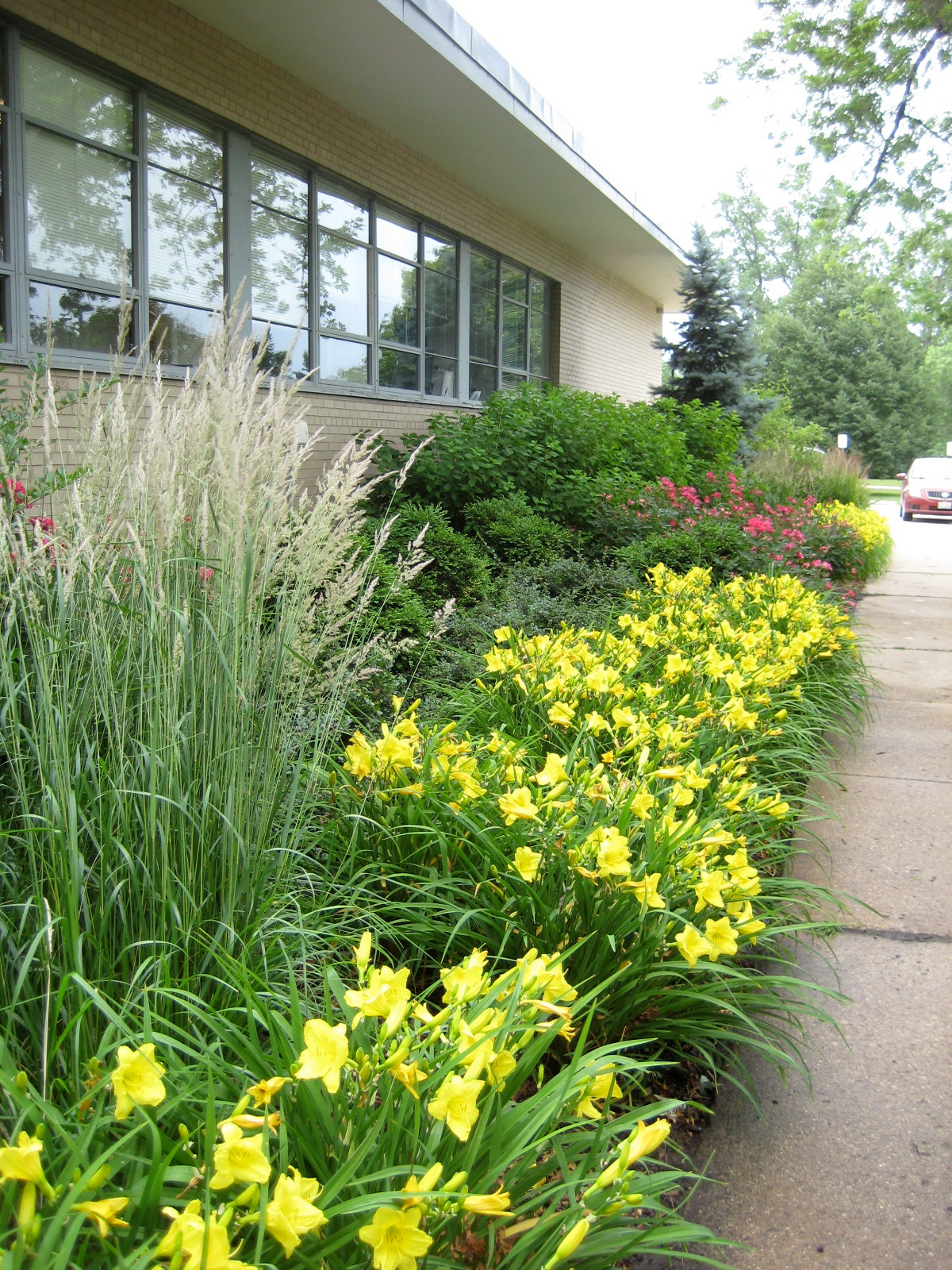 Хороший вопрос: Что посадить — однолетники или многолетники?