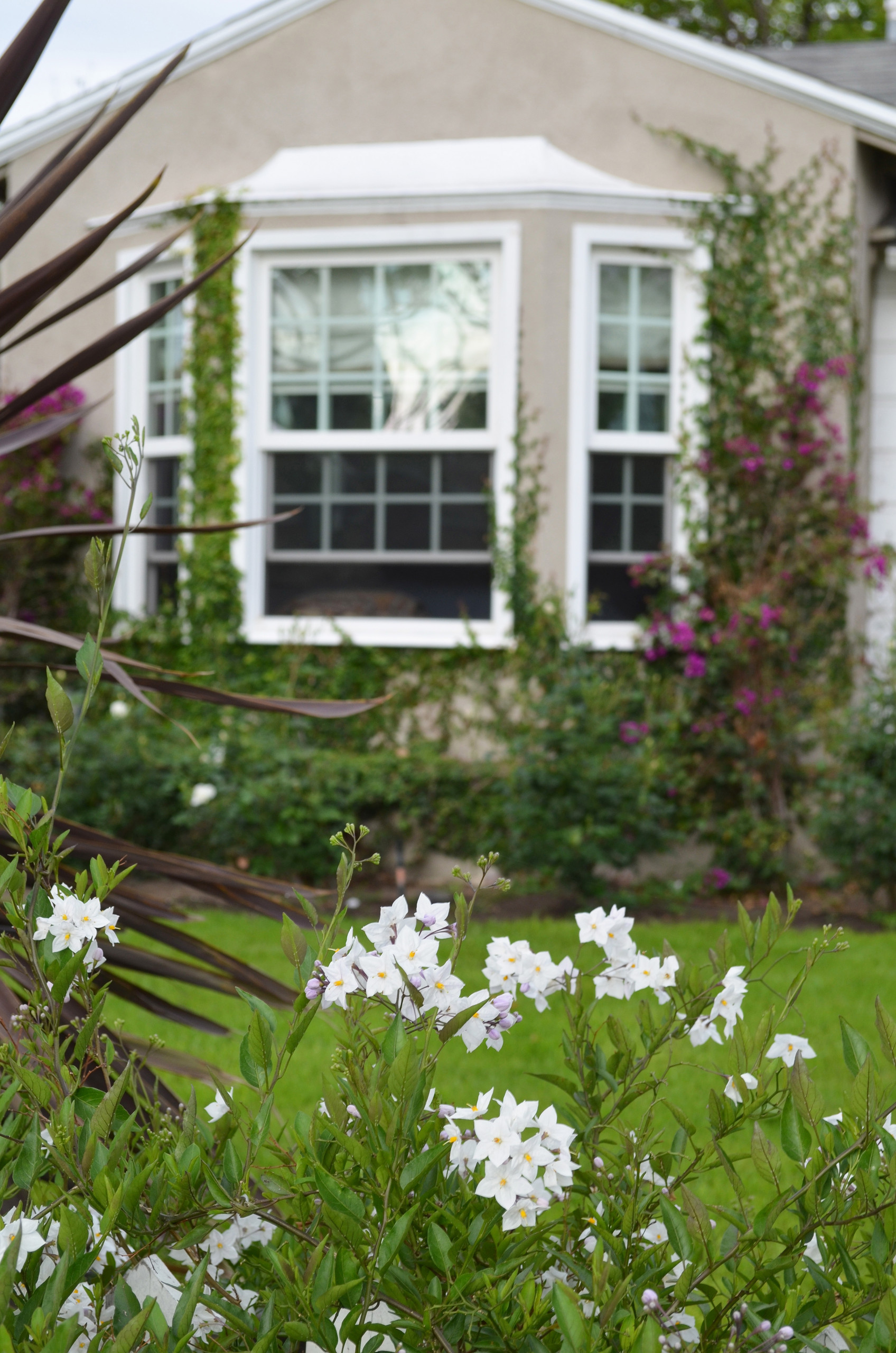 Хороший вопрос: Как создать арома-сад на даче