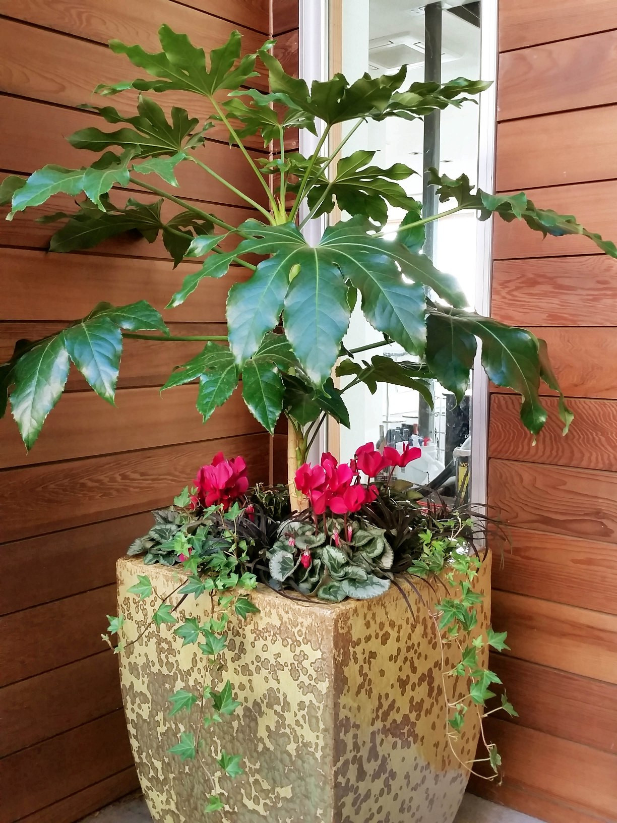 Как правильно: Сделать горшечный сад в середине лета