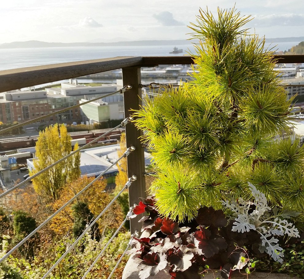 Фотоохота: 45 идей осенних кашпо