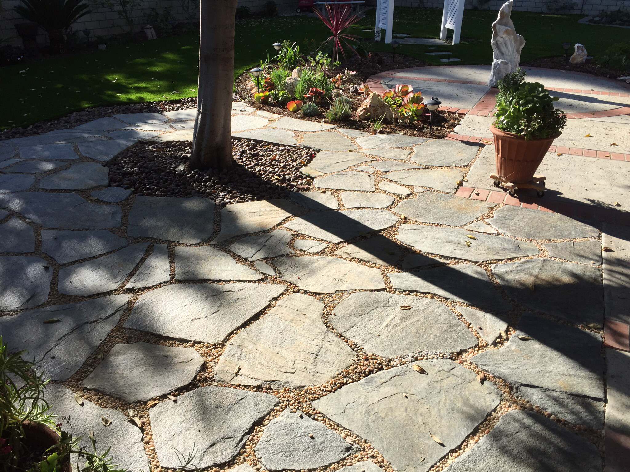 Корневая система растений: Почему важно в ней разбираться