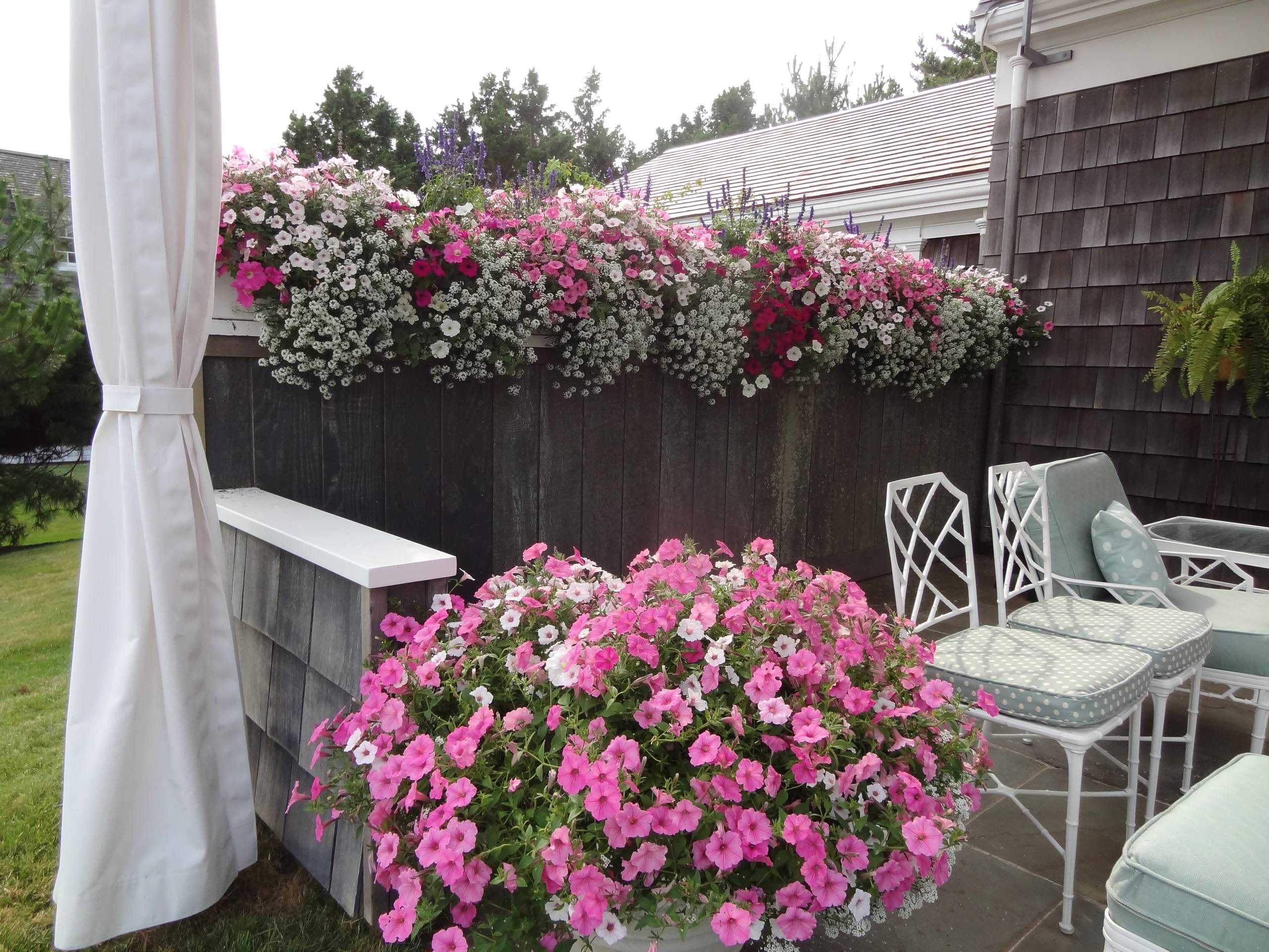 Сад в контейнере: 11 эффектных композиций для вашего балкона