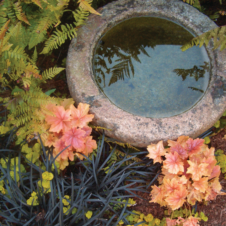 Хороший вопрос: Как создать жизнестойкий сад