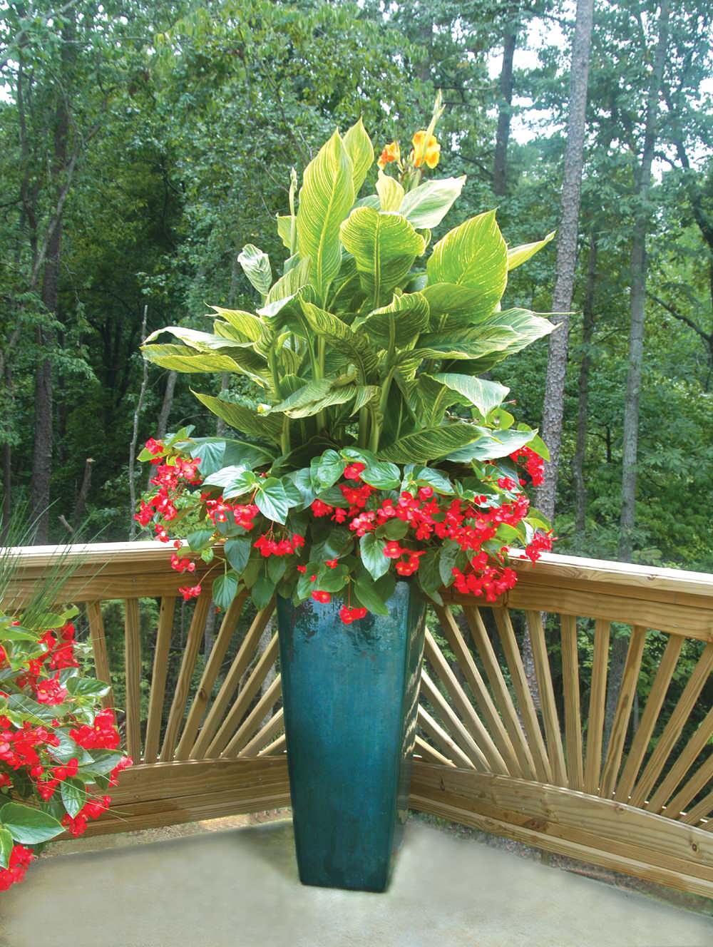 Сад в контейнере: 11 эффектных композиций для вашего балкона