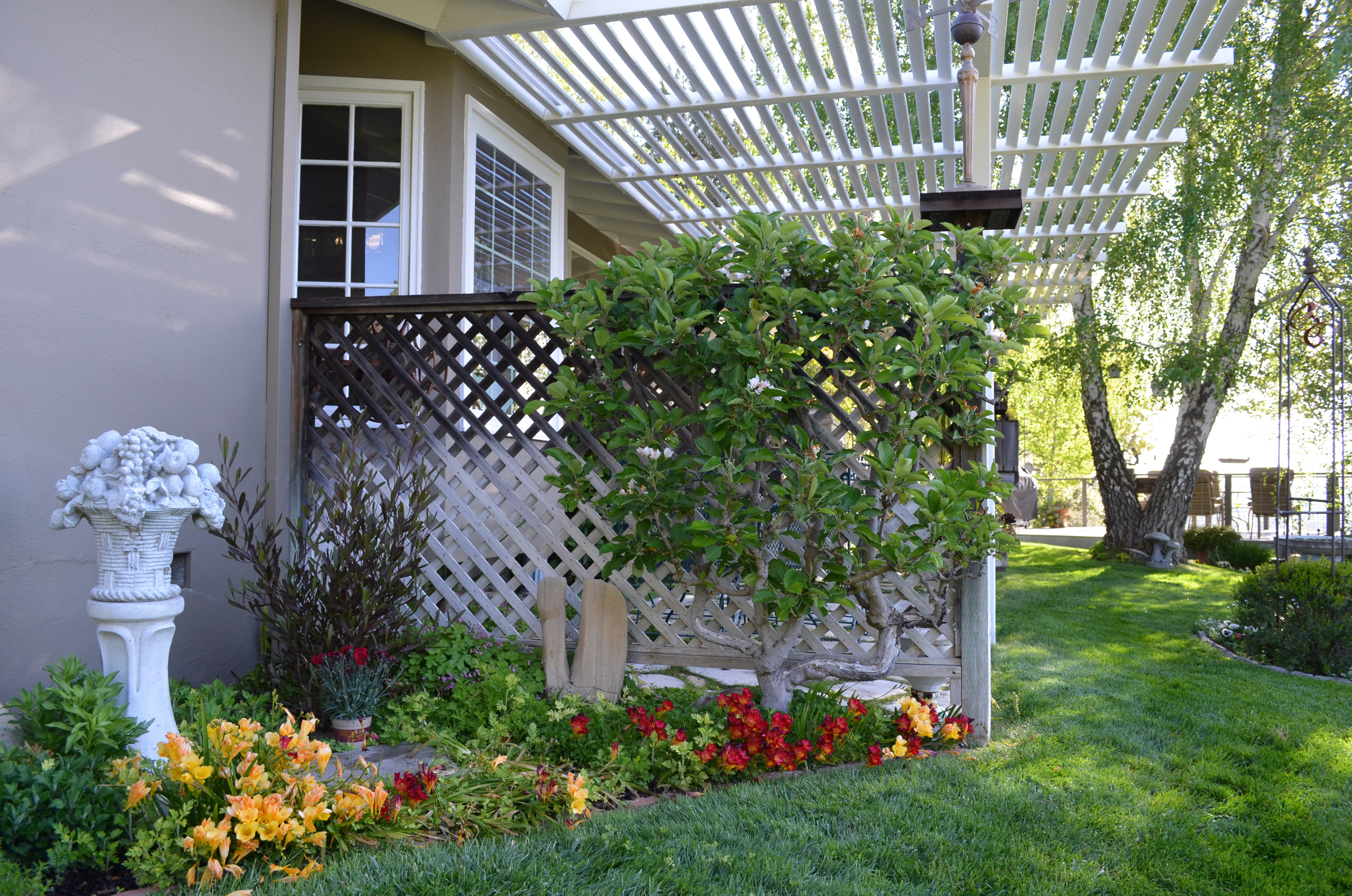 Добавьте цвета: Какой оттенок выбрать для забора?