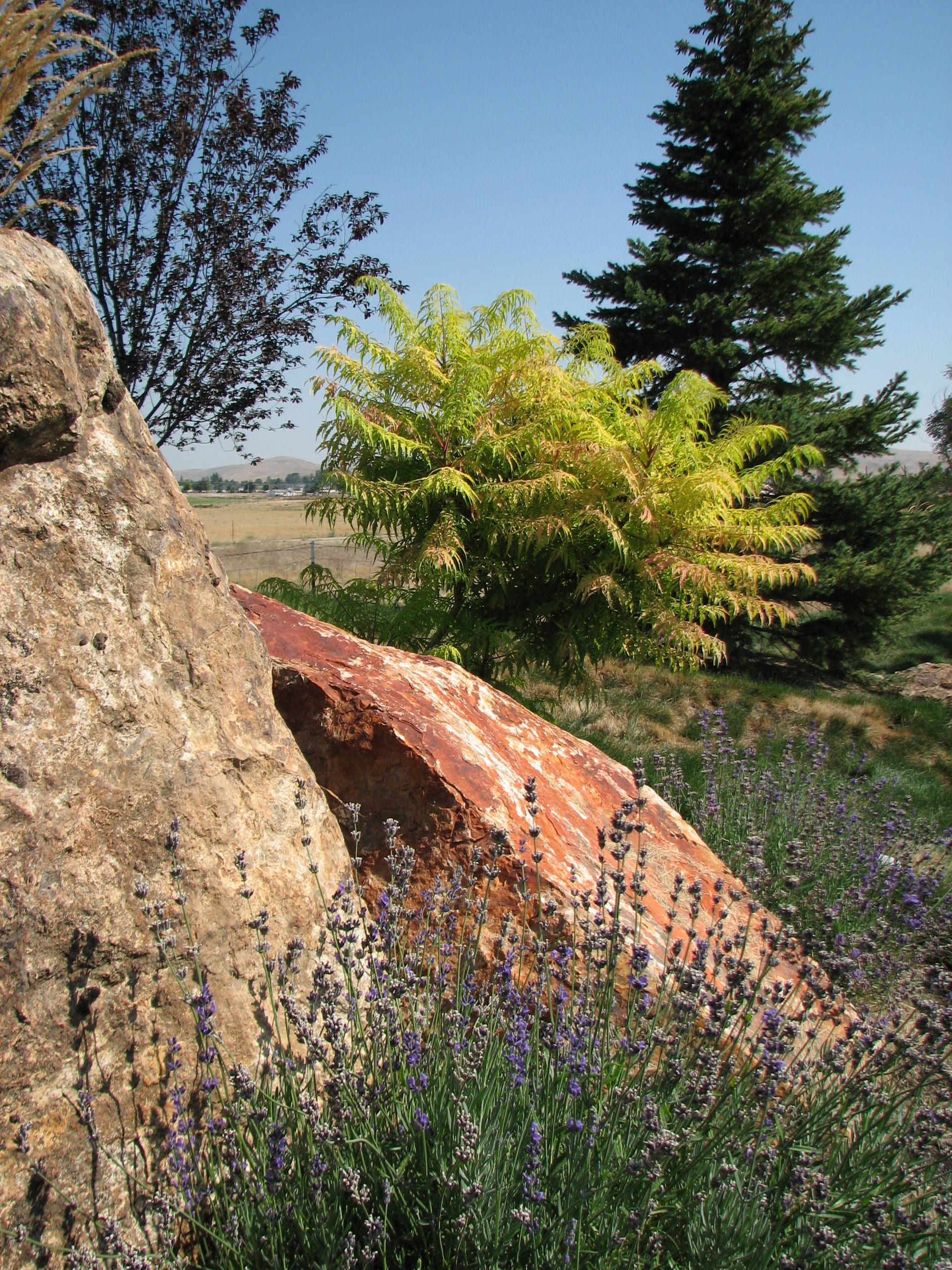Камень в огород: Как использовать валуны в своем саду