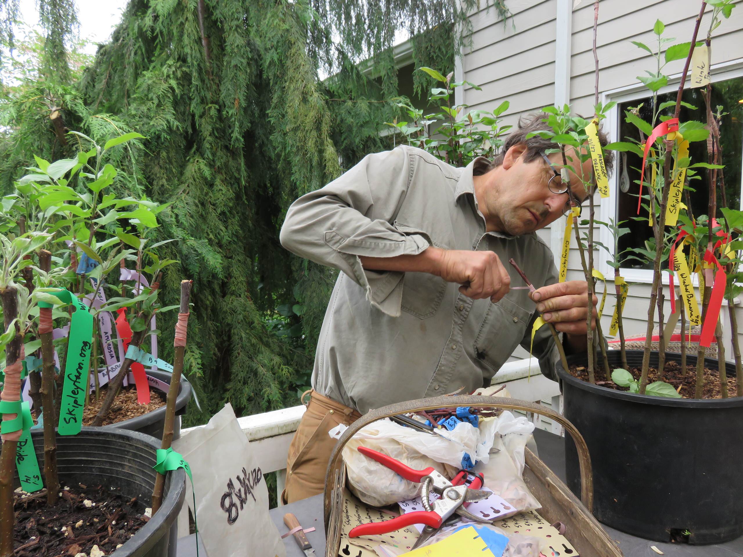 Приоритеты: Как ухаживать за садом, если у вас нет опыта