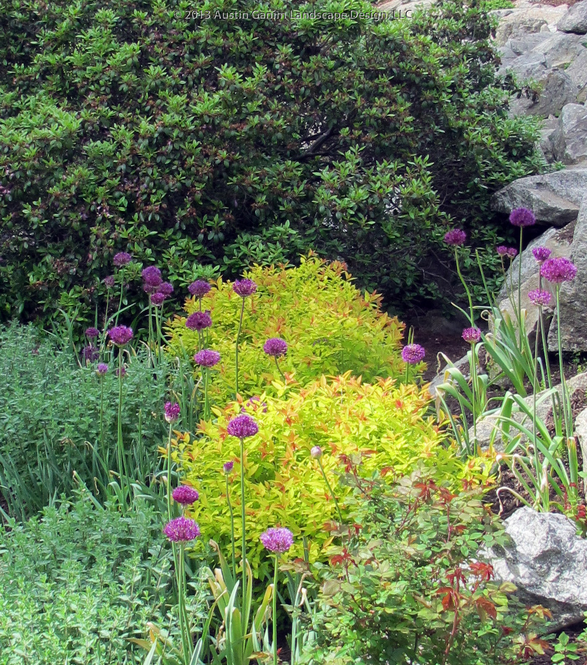 Азы садовода: Обрезка плодовых деревьев и кустарников