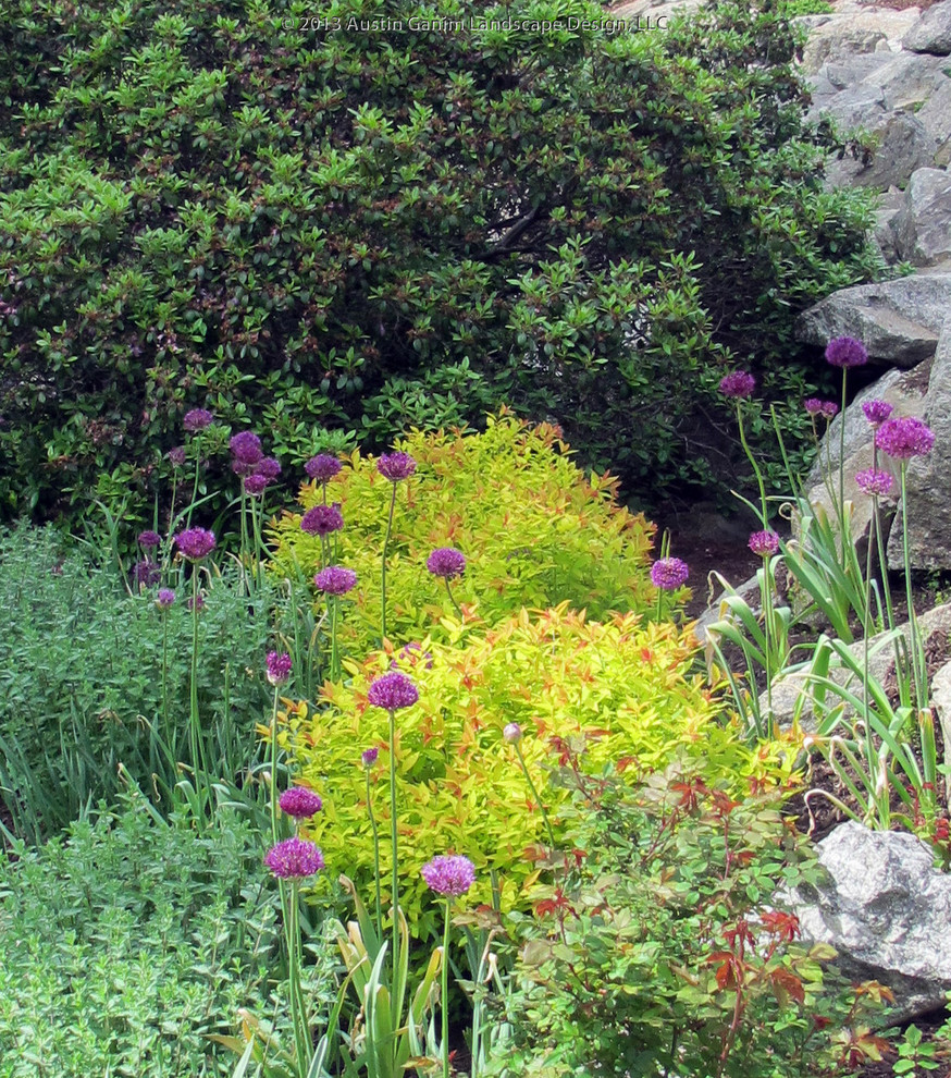 Азы садовода: Обрезка плодовых деревьев и кустарников