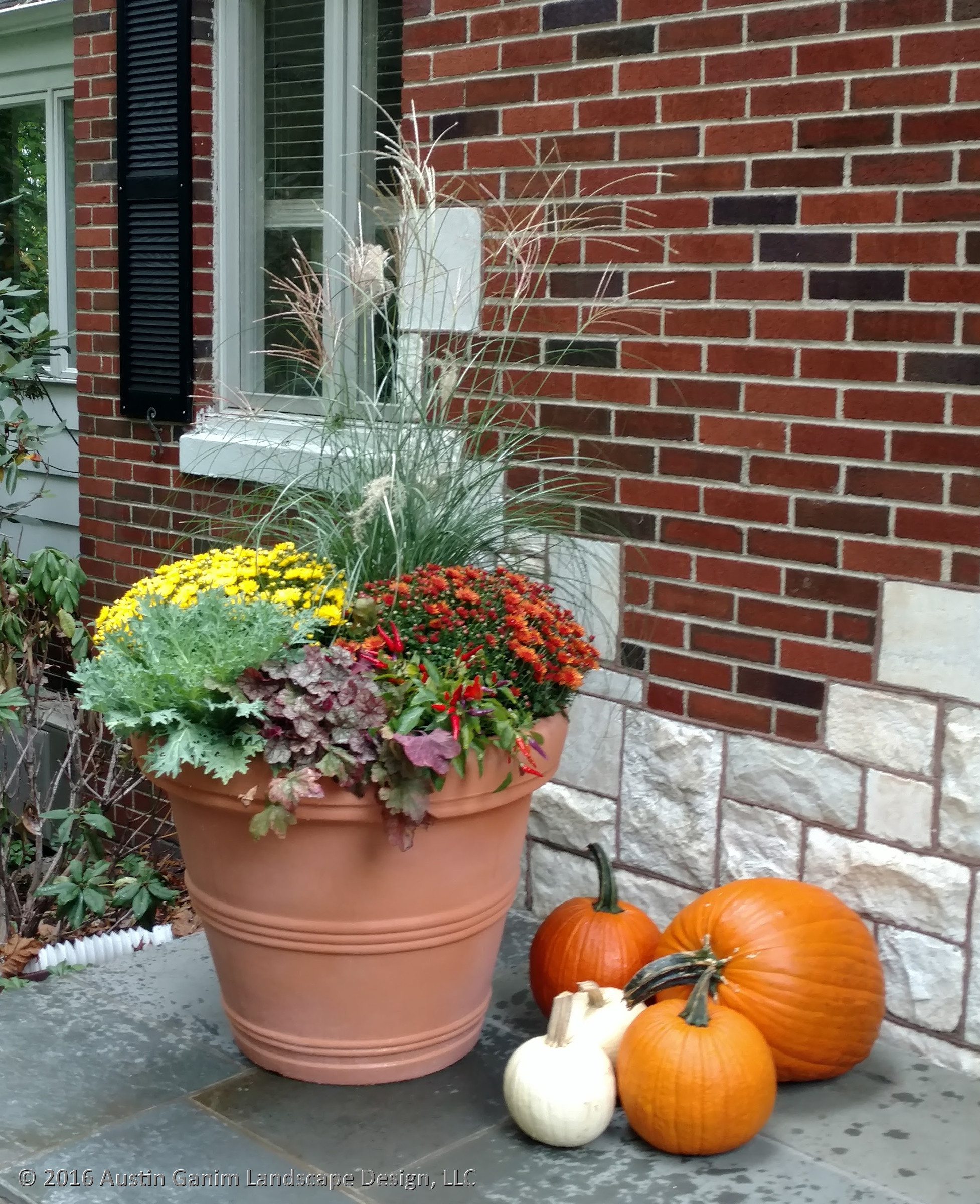 Как правильно: Горшечный сад осенью — проводим апгрейд