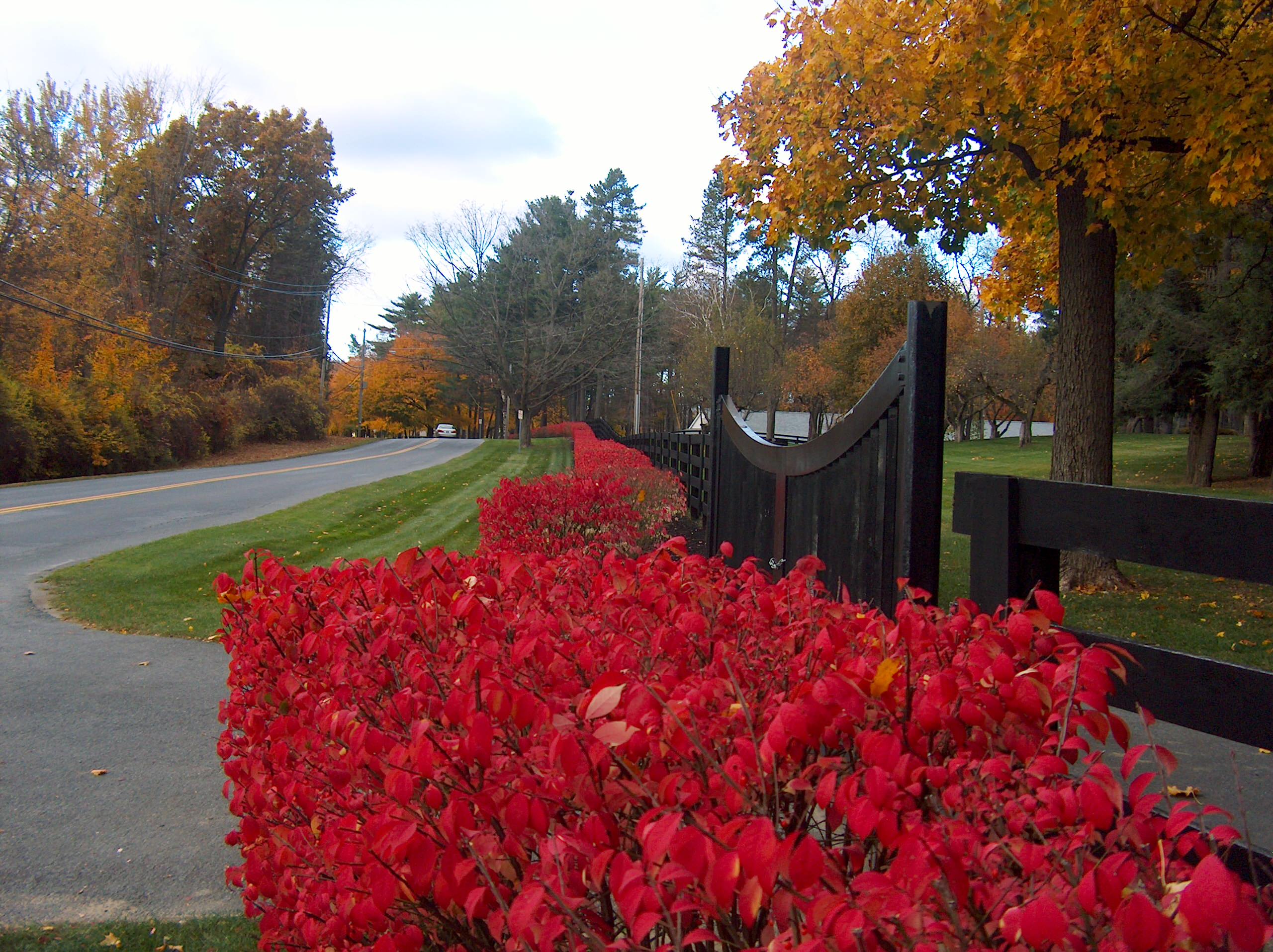 Хороший вопрос: Как получить сад, красивый до поздней осени