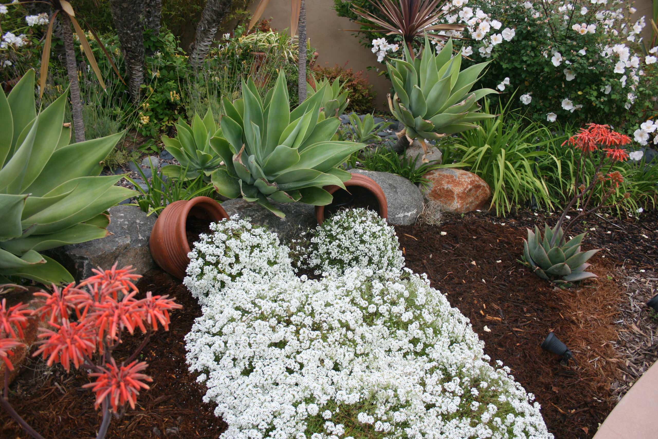 Цветы на даче: 9 стратегий дизайна клумбы