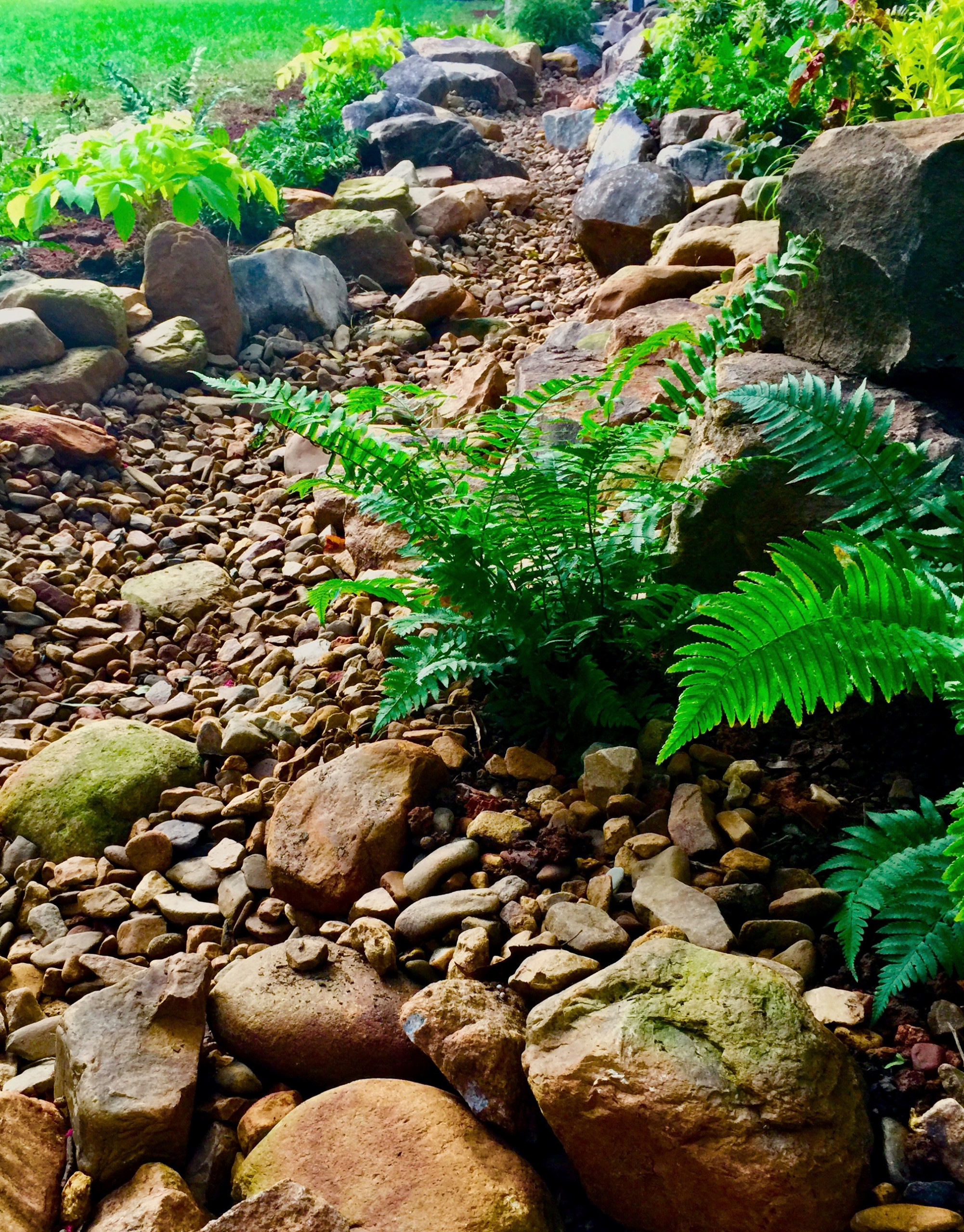 Работа над ошибками: Что пошло не так на клумбе