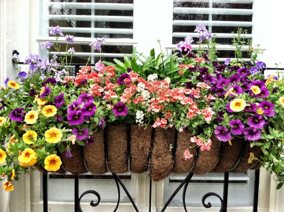 Цветы за окном квартиры: 9 готовых схем