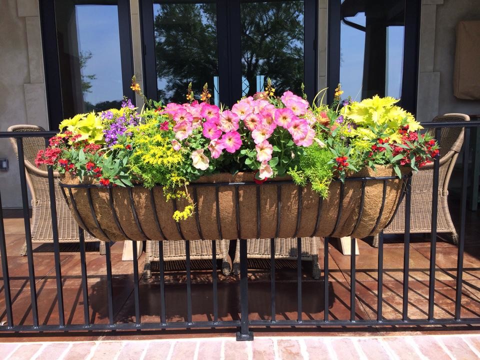 Цветы за окном квартиры: 9 готовых схем