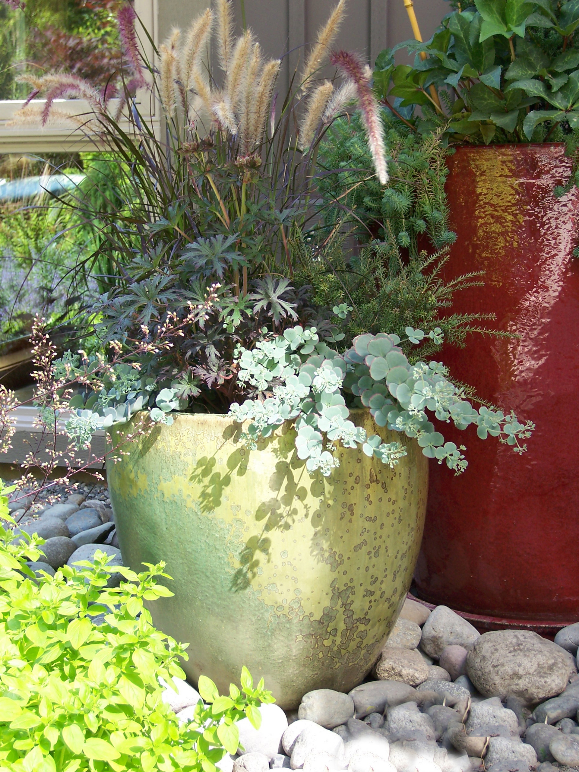 Как правильно: Сделать горшечный сад в середине лета